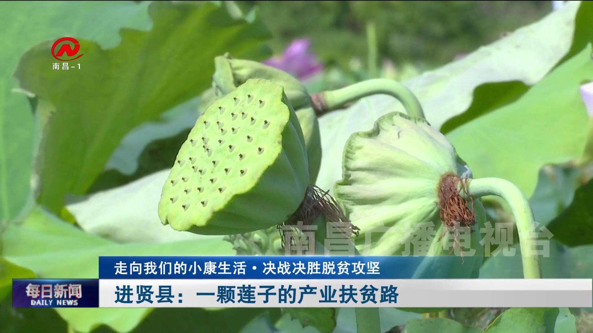 进贤县：一颗莲子的产业扶贫路