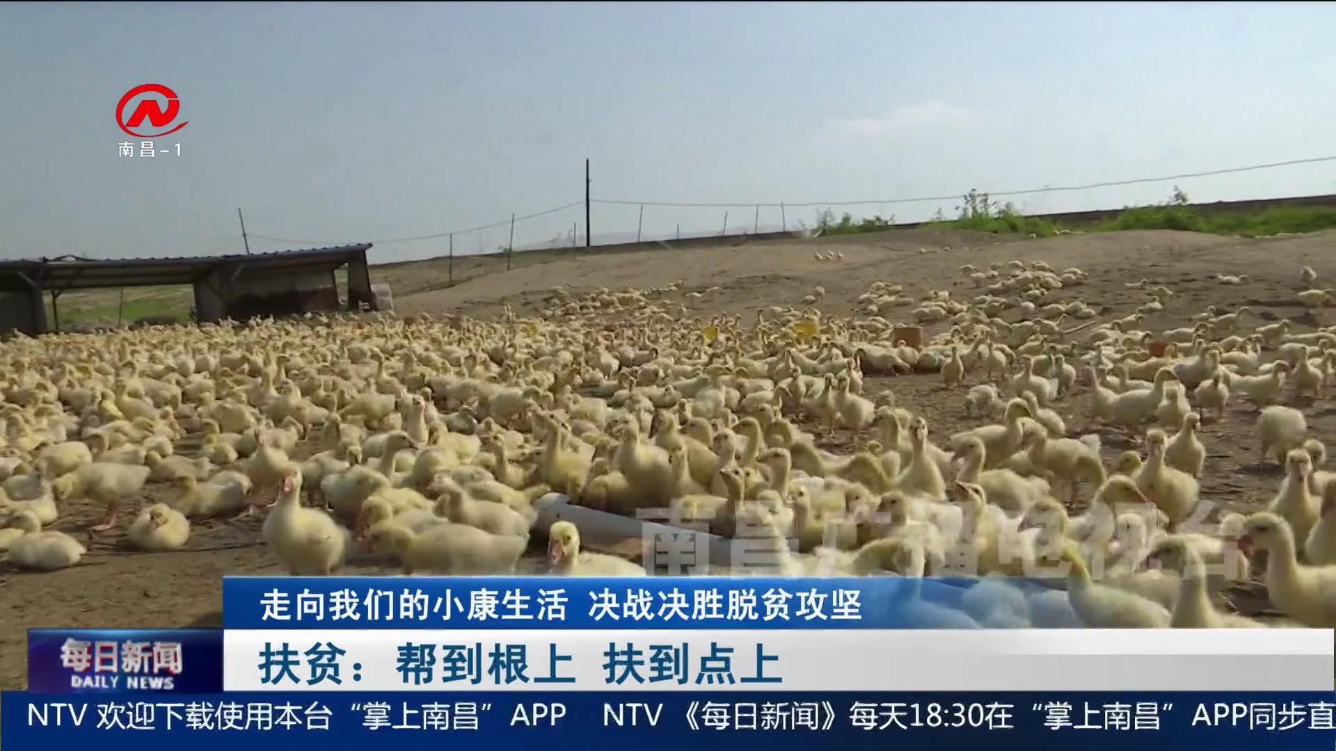 扶贫：帮到根上 扶到点上