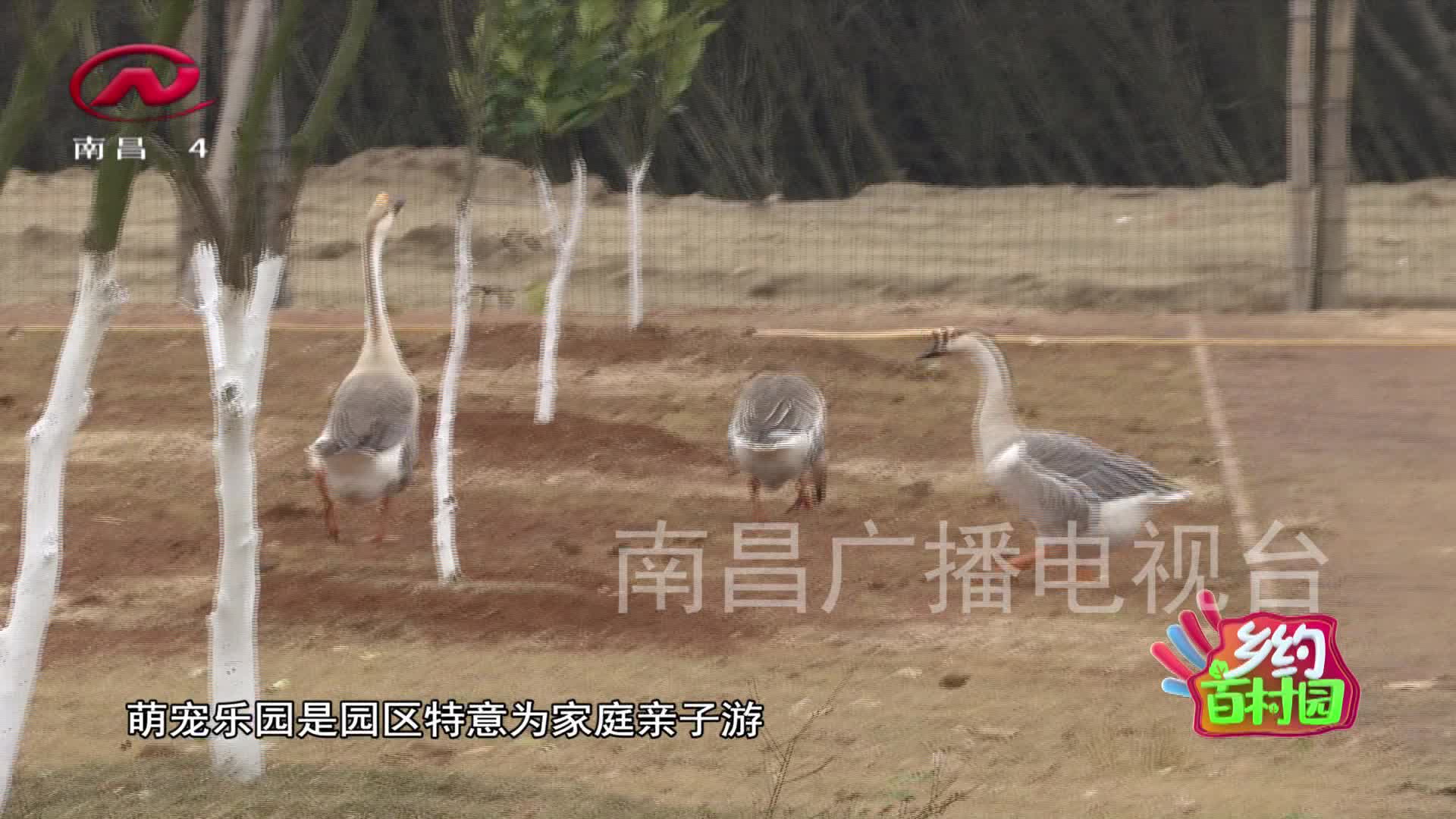 乡约百村园 2021-01-18