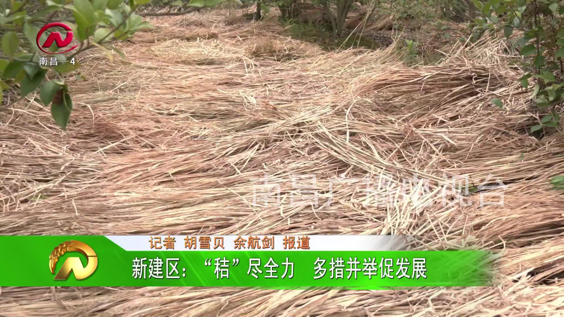 【豫章农视】新建区：“秸”尽全力  多措并举促发展