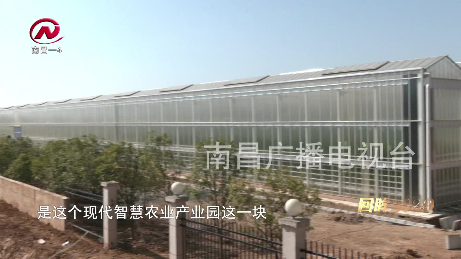 【豫章农视】胡强：“三步走”战略推动农业产业化发展