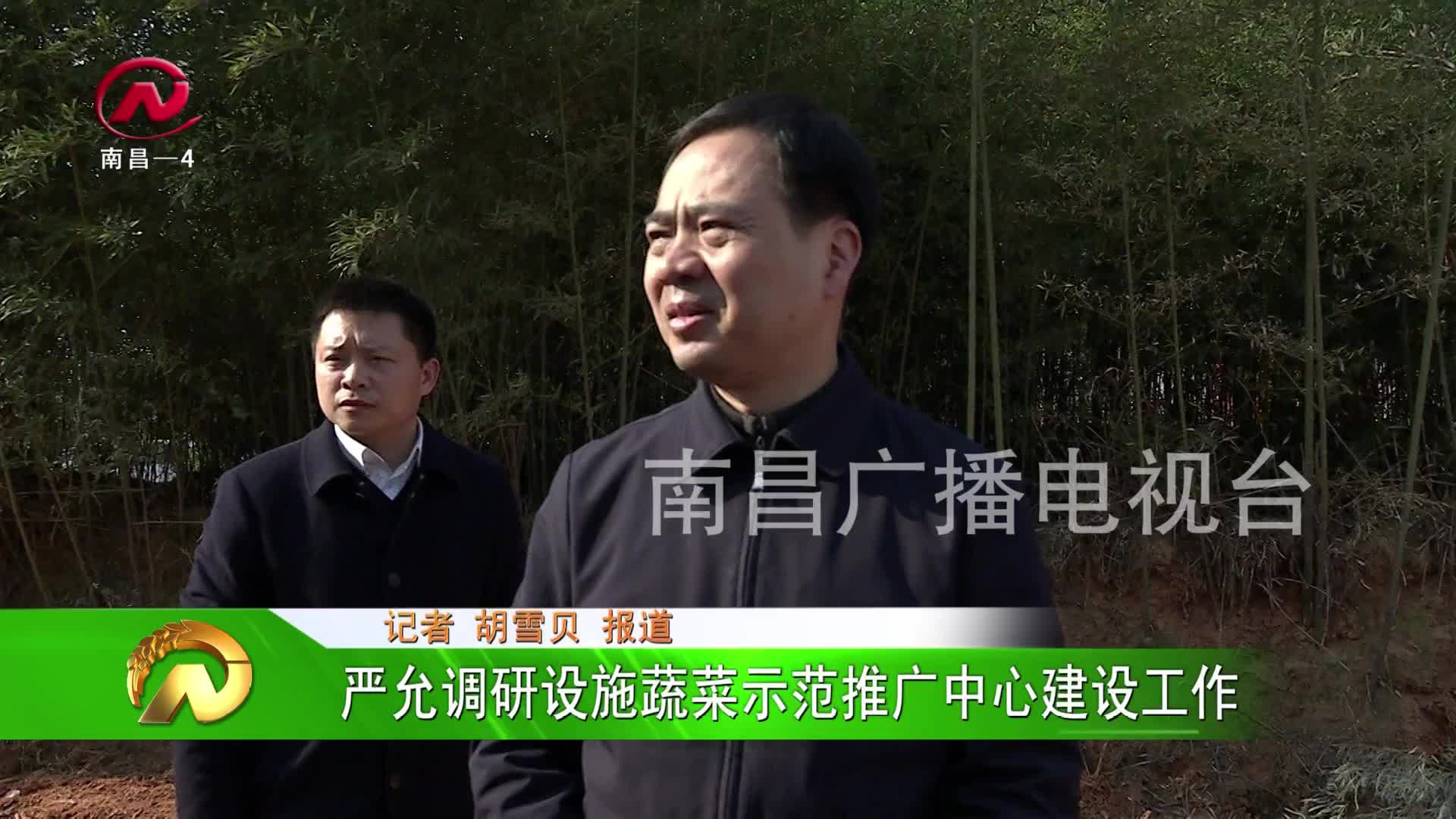 【豫章农视】严允调研设施蔬菜示范推广中心建设工作