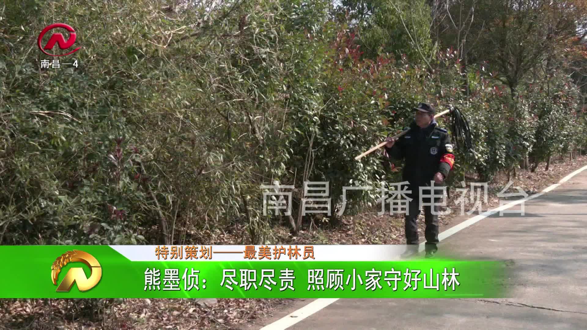 【豫章农视】熊墨侦：尽职尽责 照顾小家守好山林
