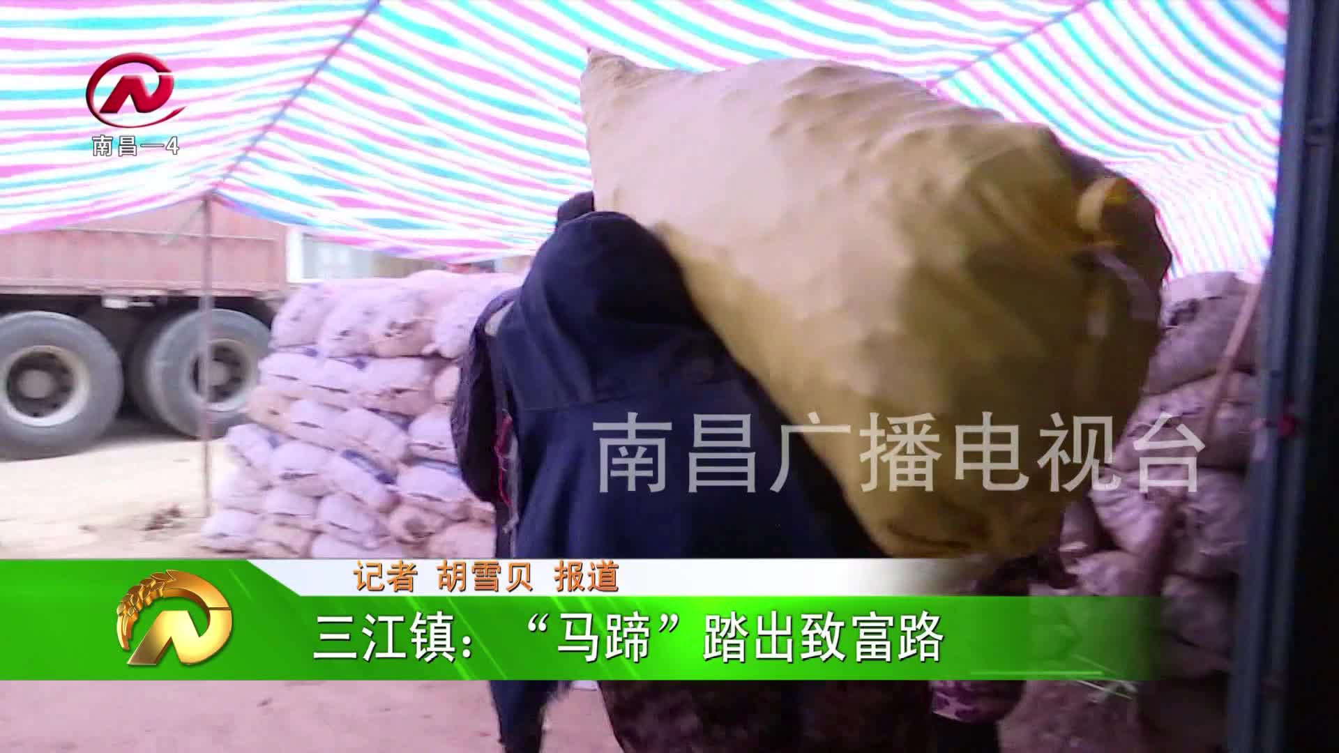 【豫章农视】三江镇：“马蹄”踏出致富路