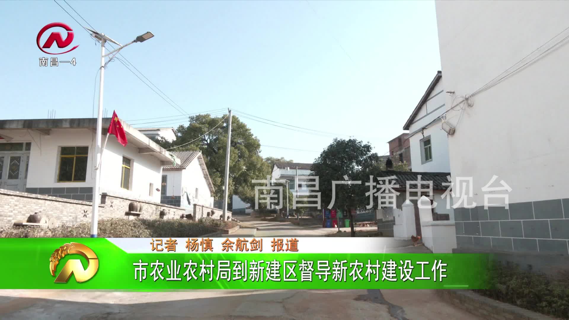 【豫章农视】市农业农村局到新建区督导新农村建设工作