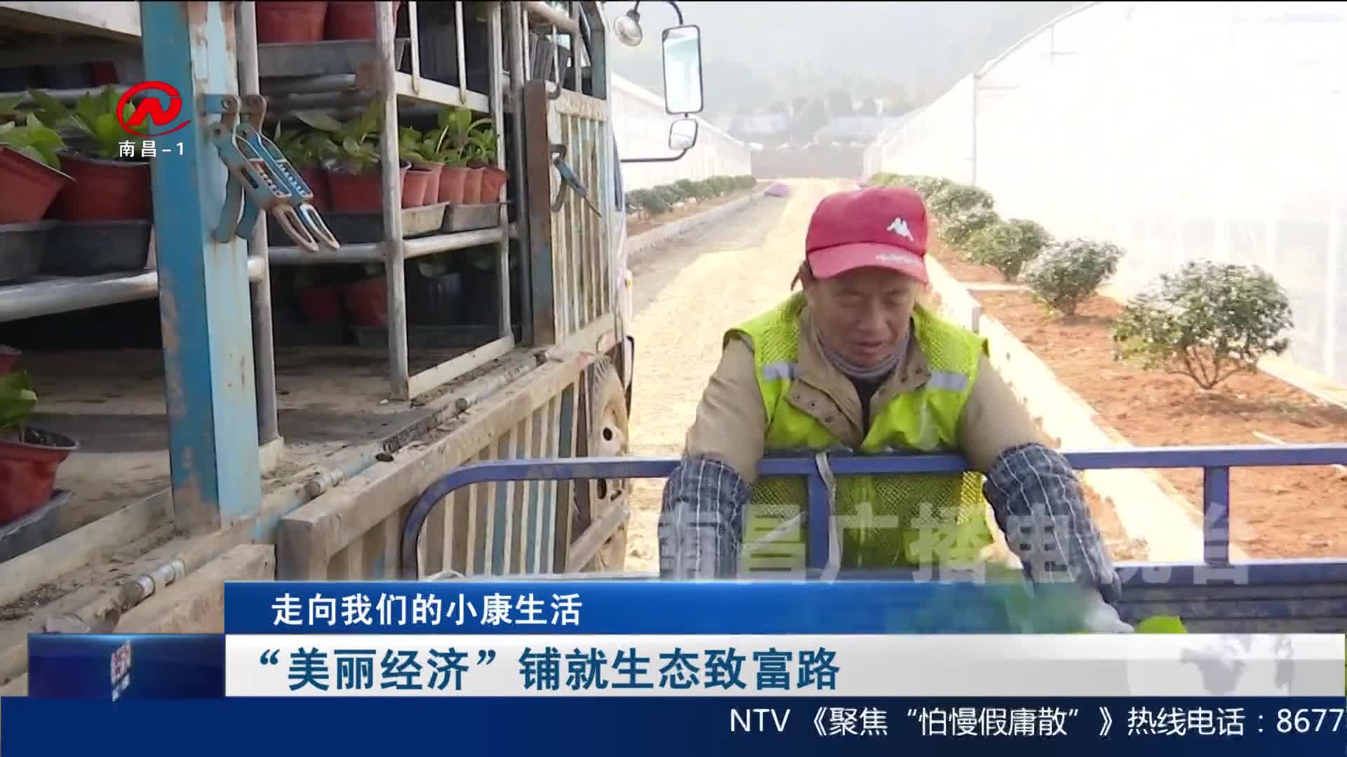 “美丽经济”铺就生态致富路