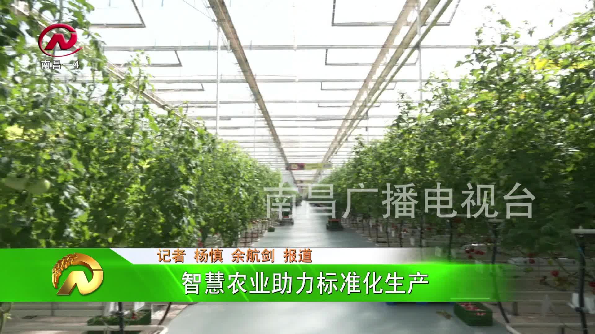 【豫章农视】智慧农业助力标准化生产