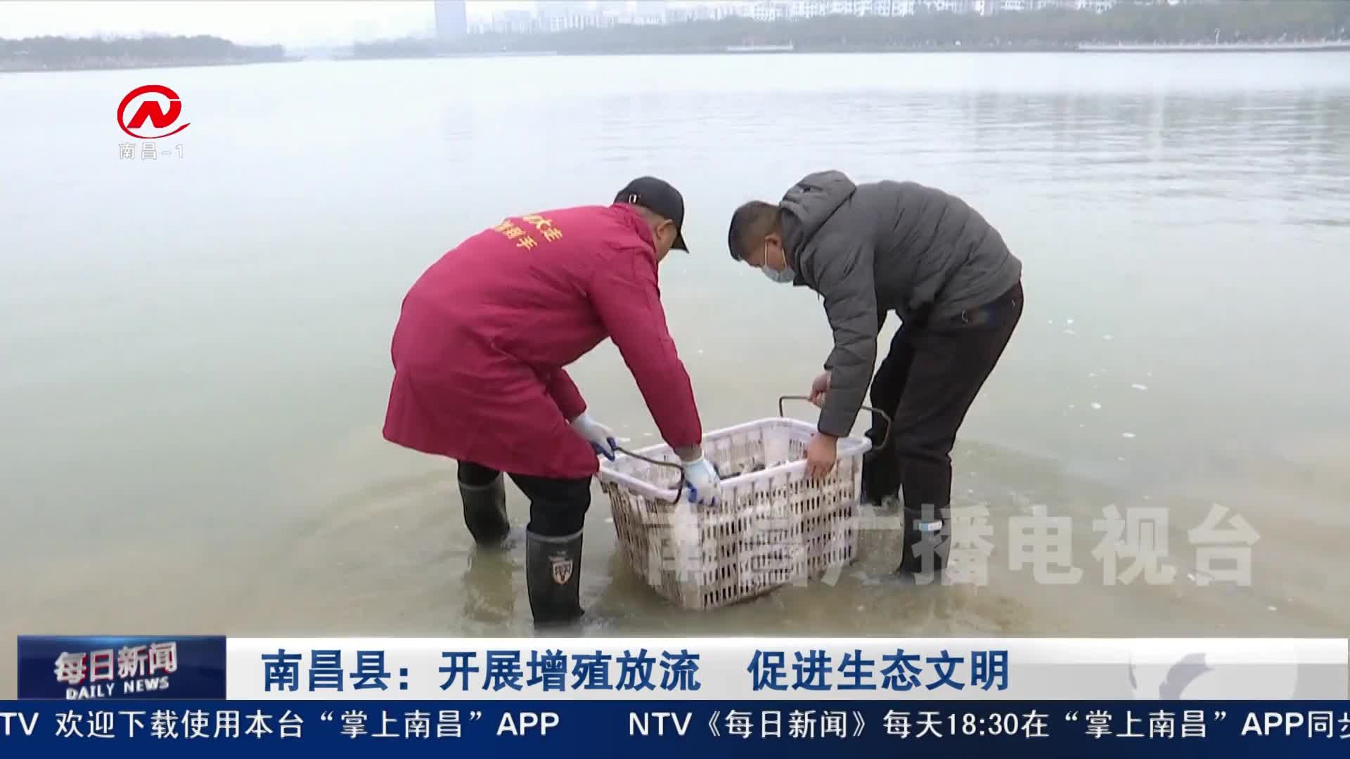 南昌县：开展增殖放流  促进生态文明