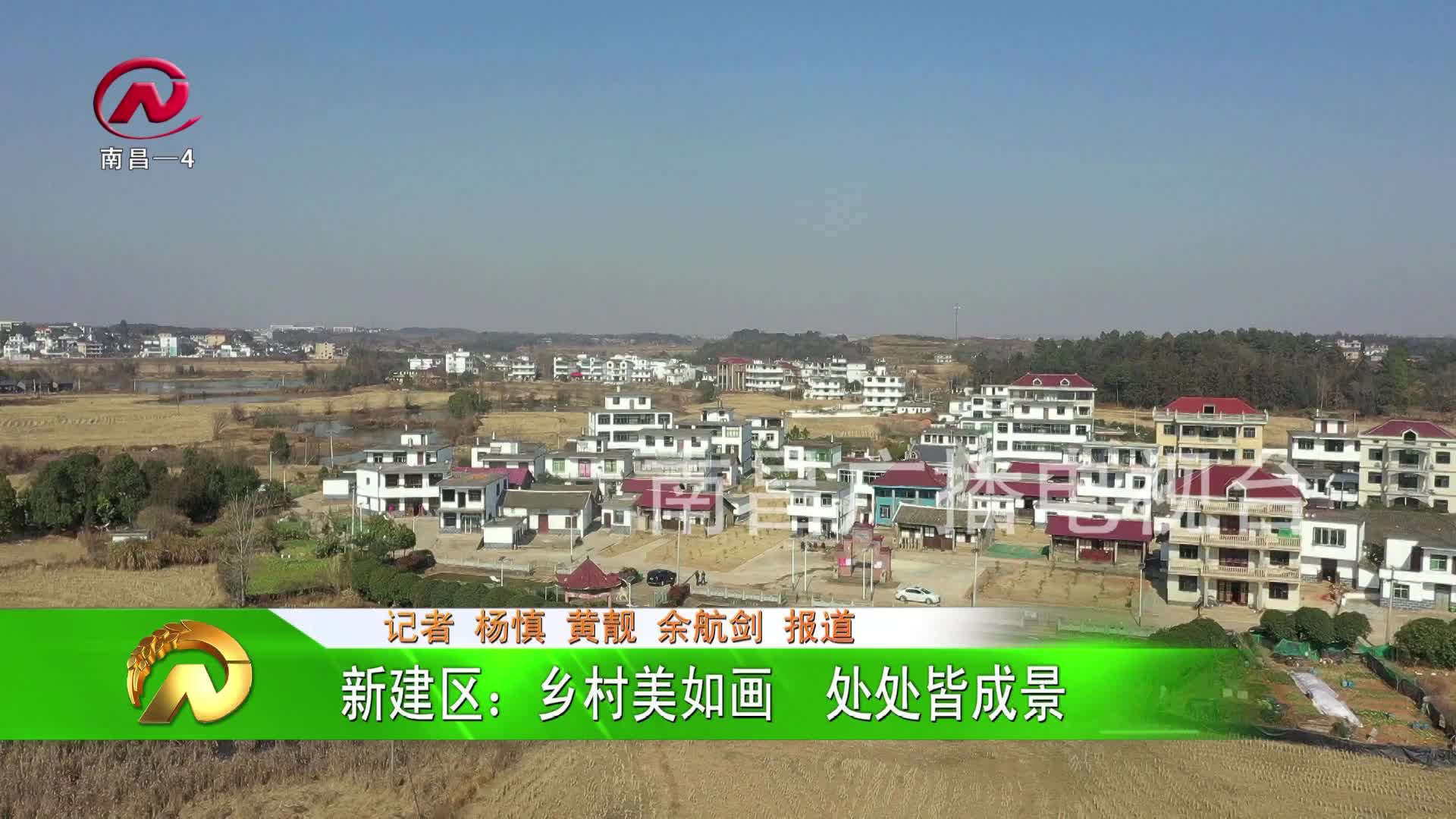 【豫章农视】新建区：乡村美如画  处处皆成景
