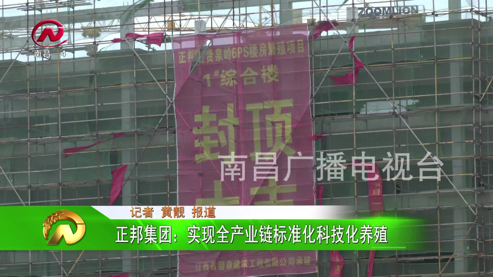 【豫章农视】正邦集团：实现全产业链标准化科技化养殖