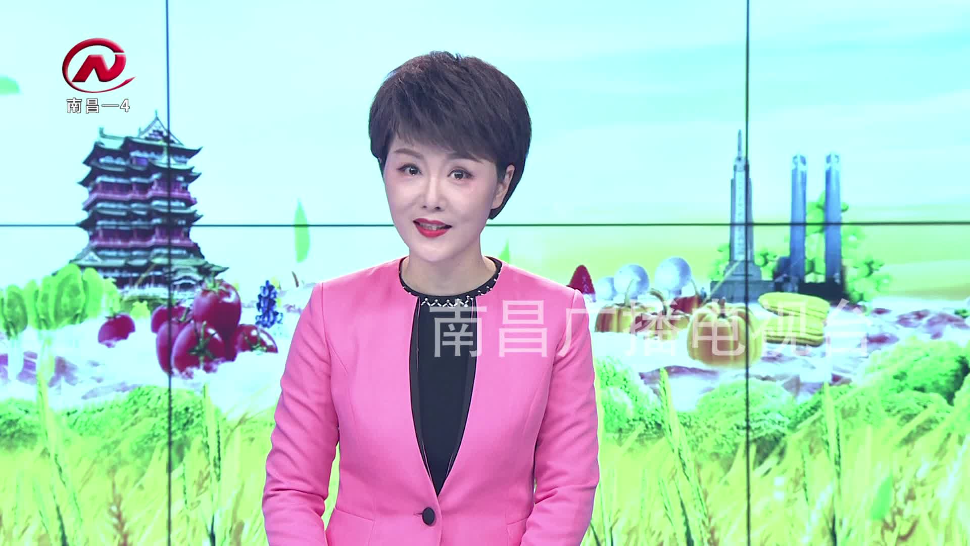 【豫章农视】 鸭子住进“楼房” 鸭蛋高产有保障