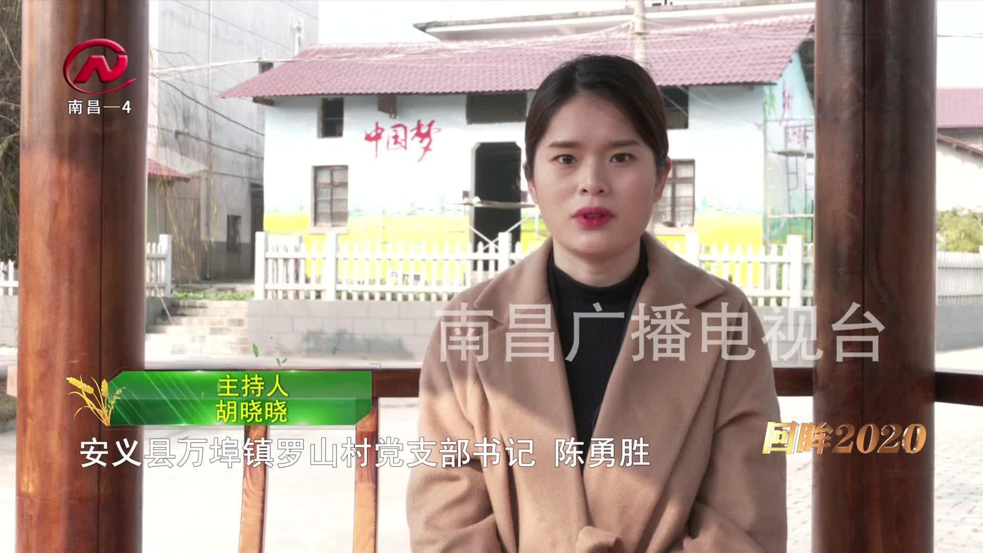 【豫章农视】 陈勇胜：筑牢产业根基 推进1700亩高标准农田建设