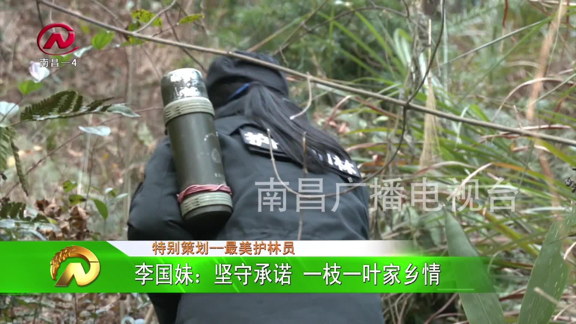 【豫章农视】李国妹：坚守承诺 一枝一叶家乡情