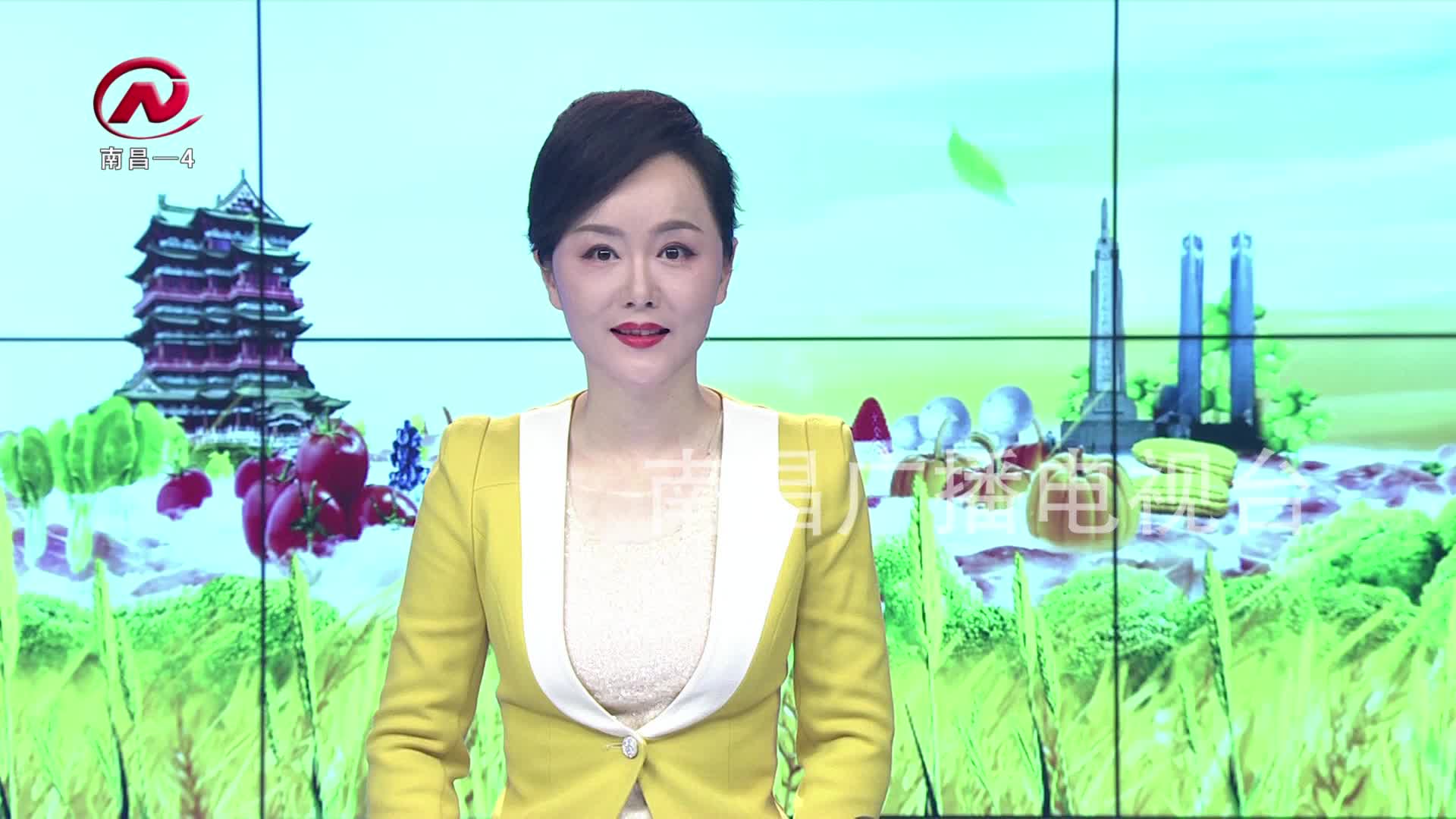 【豫章农视】雪韵梅岭