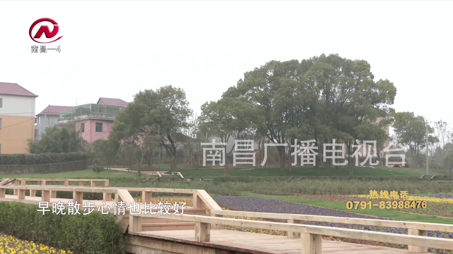 【豫章农视】安义县：村点出彩 创建全省美丽宜居示范县