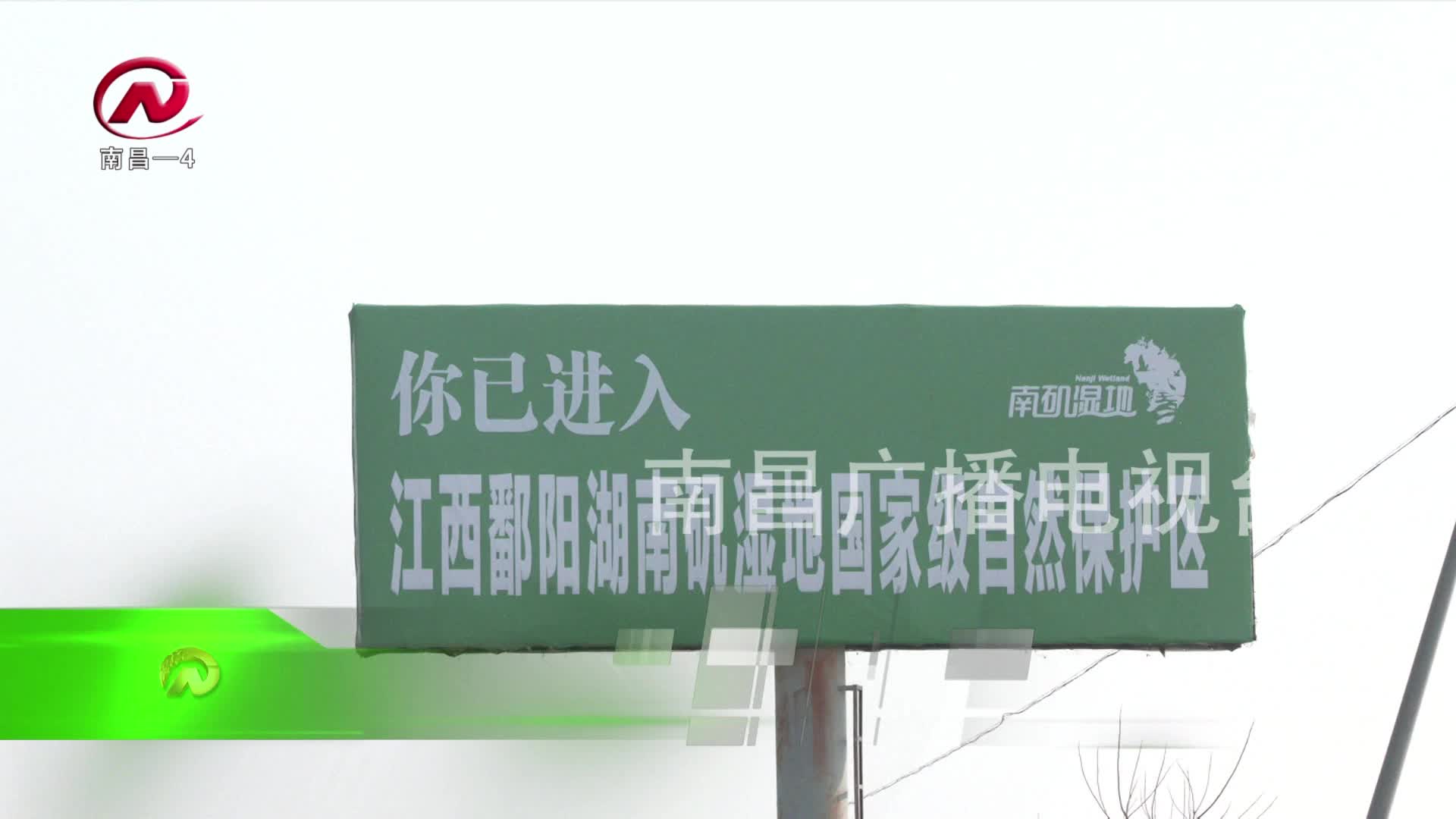 【豫章农视】全天候立体式巡护 保障候鸟安全越冬