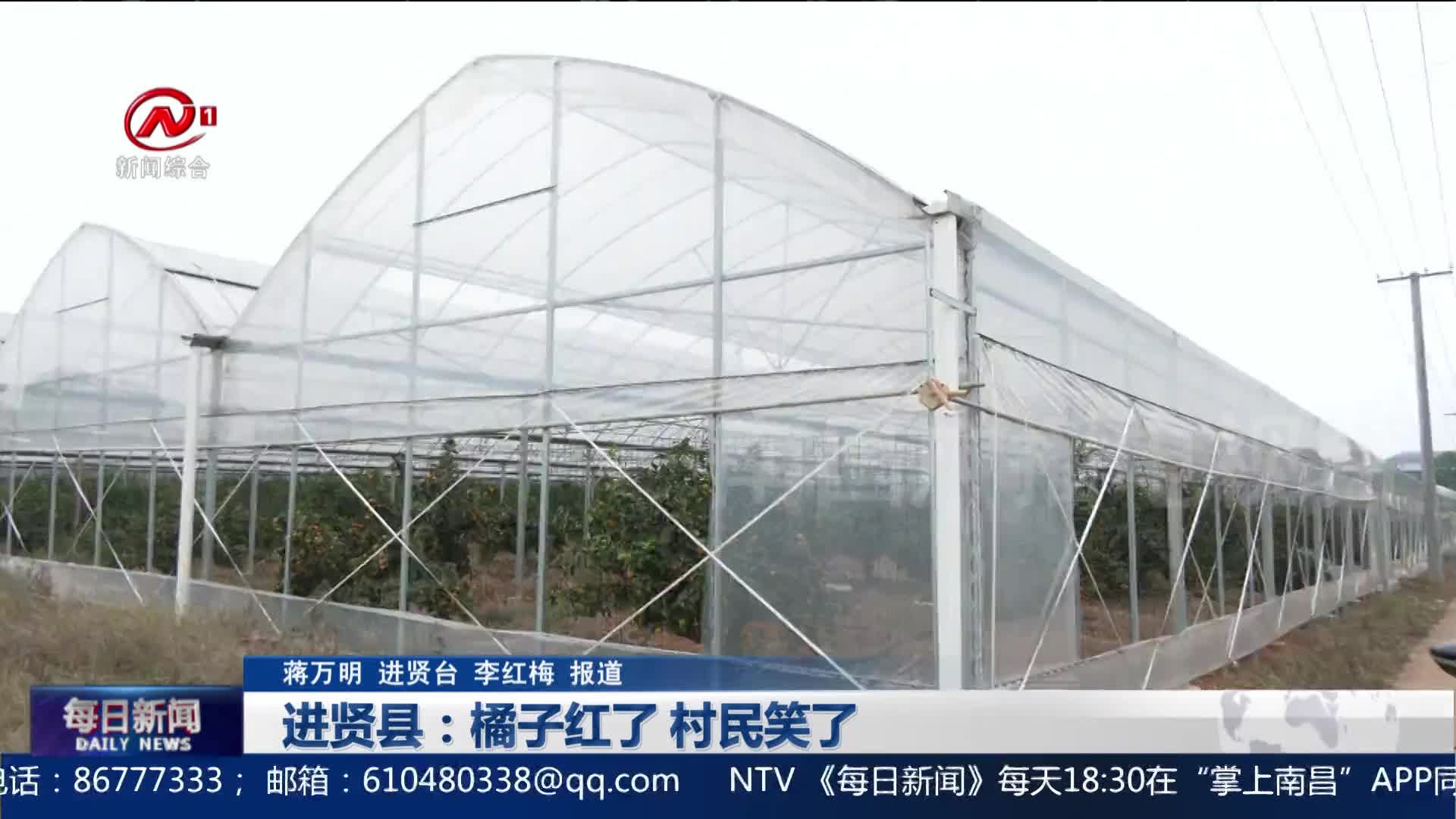 进贤县：橘子红了 村民笑了