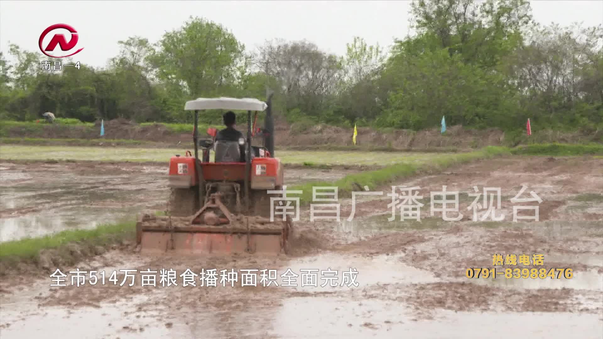 【豫章农视】万云标：展现“三农”作为 书写乡村振兴新篇章（下）