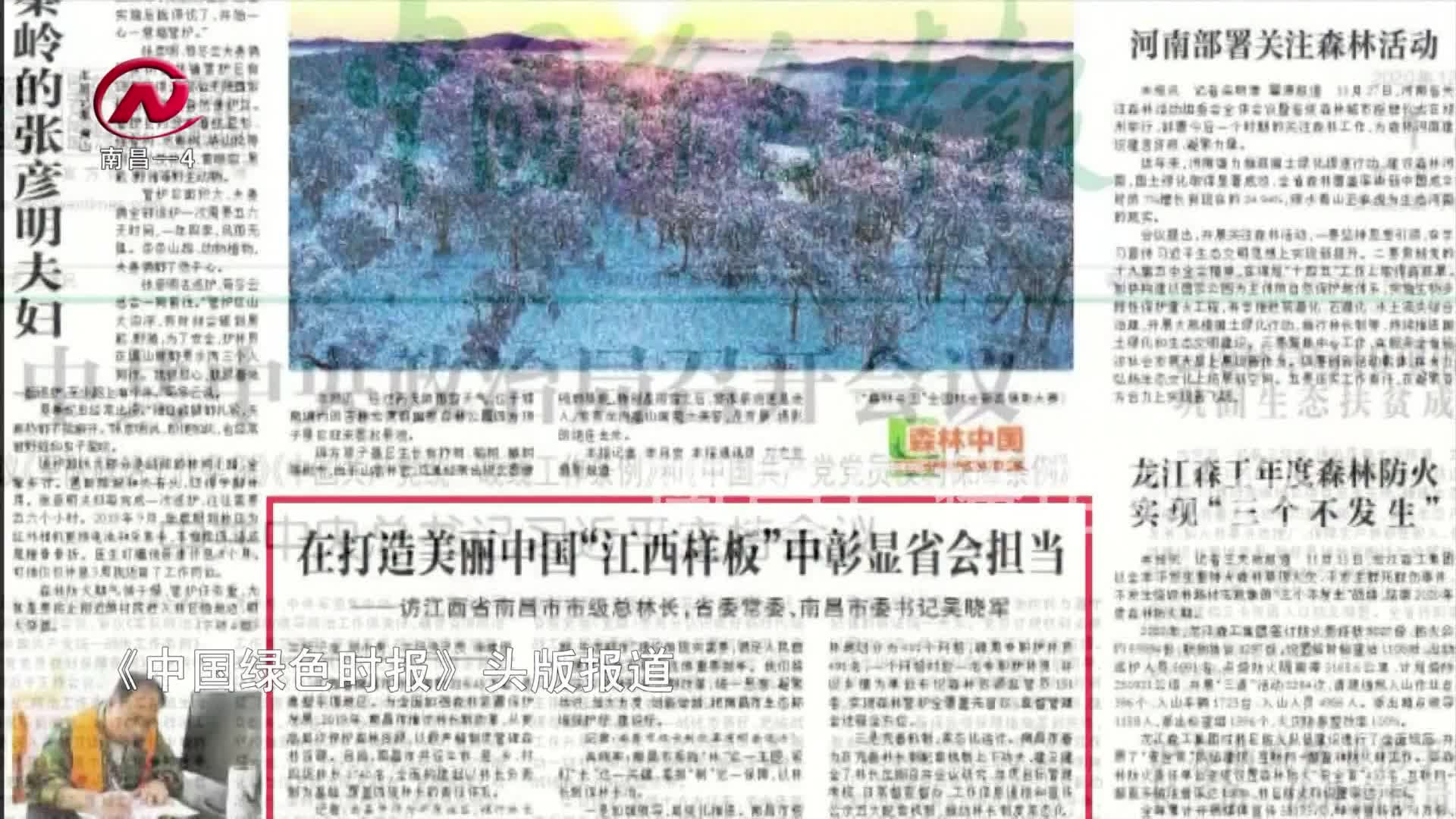 【豫章农视】杨馥宁：保护绿水青山 贡献林业力量