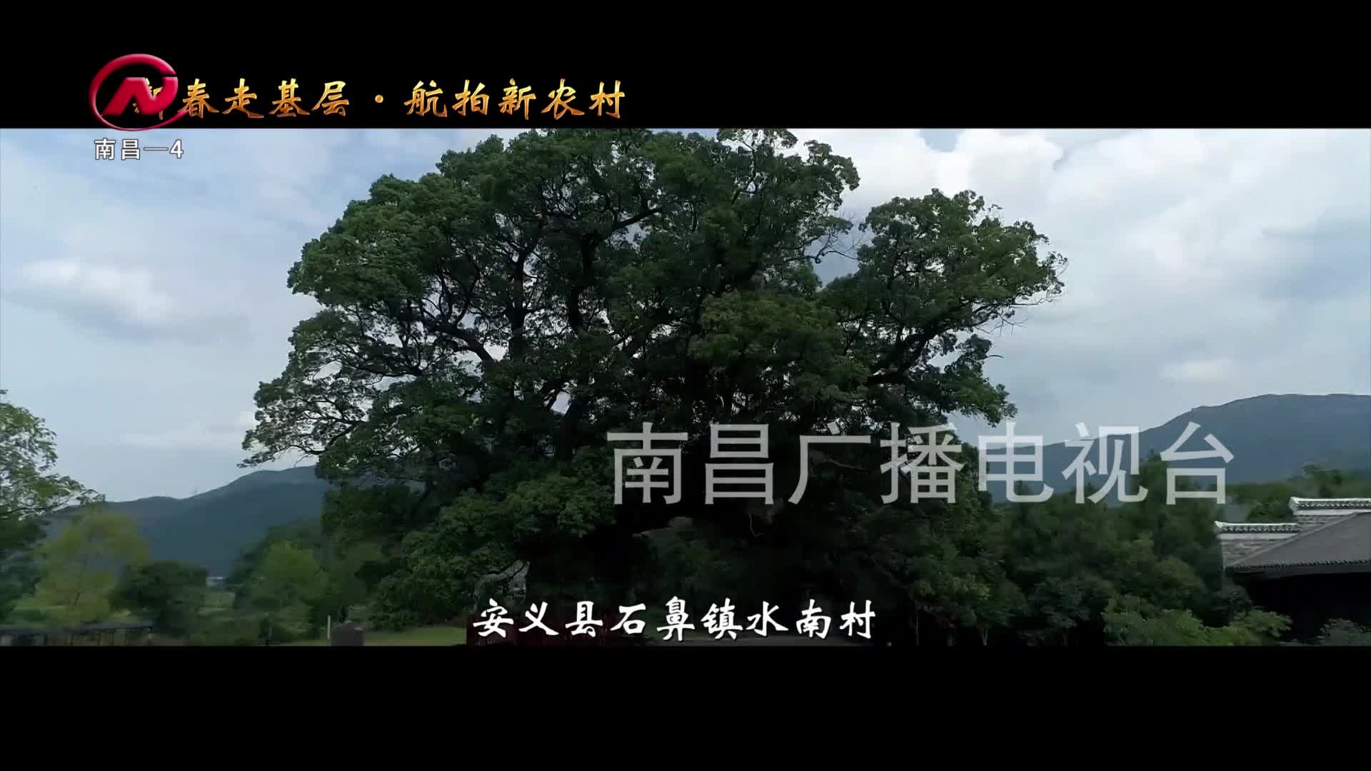 【豫章农视】水南村：文旅结合 古老村落焕发新活力