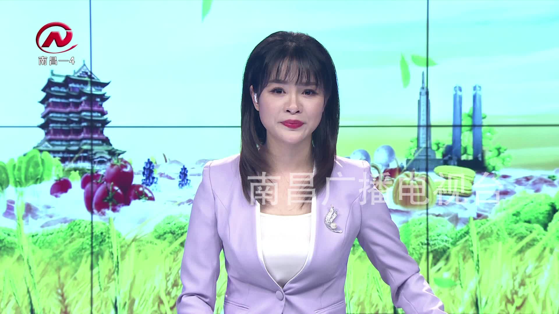 【豫章农视】智能化选种 提高种苗发芽率