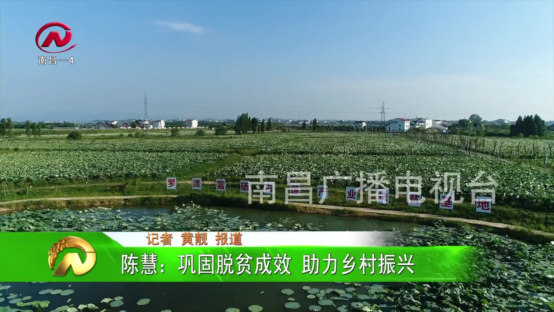 【豫章农视】陈慧：巩固脱贫成效 助力乡村振兴