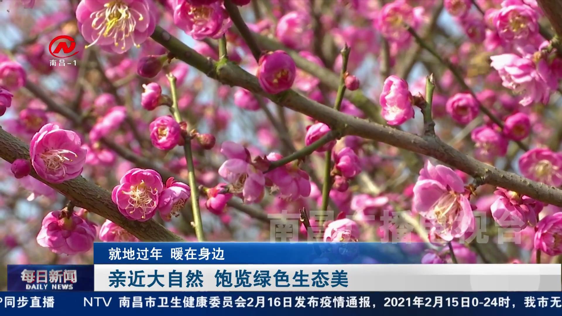 亲近大自然 饱览绿色生态美