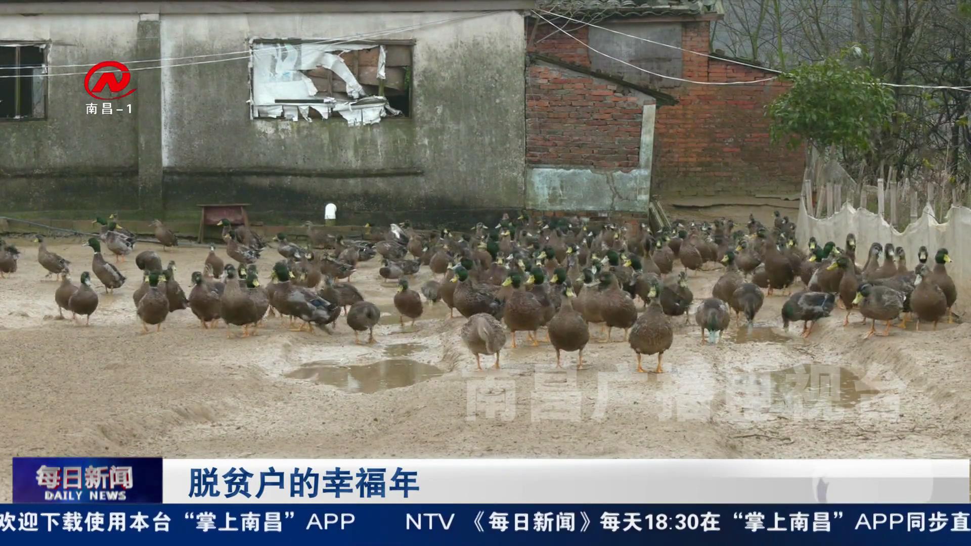 脱贫户的幸福年