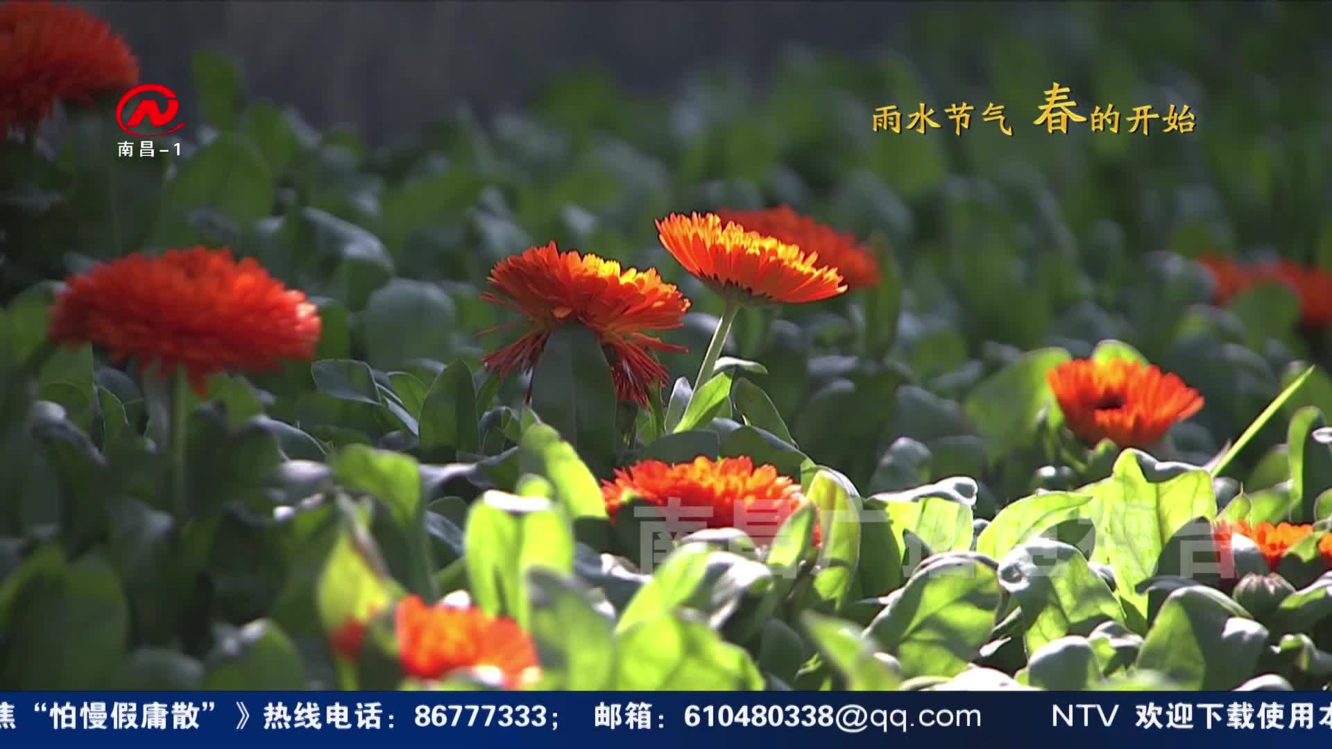 雨水节气 春的开始