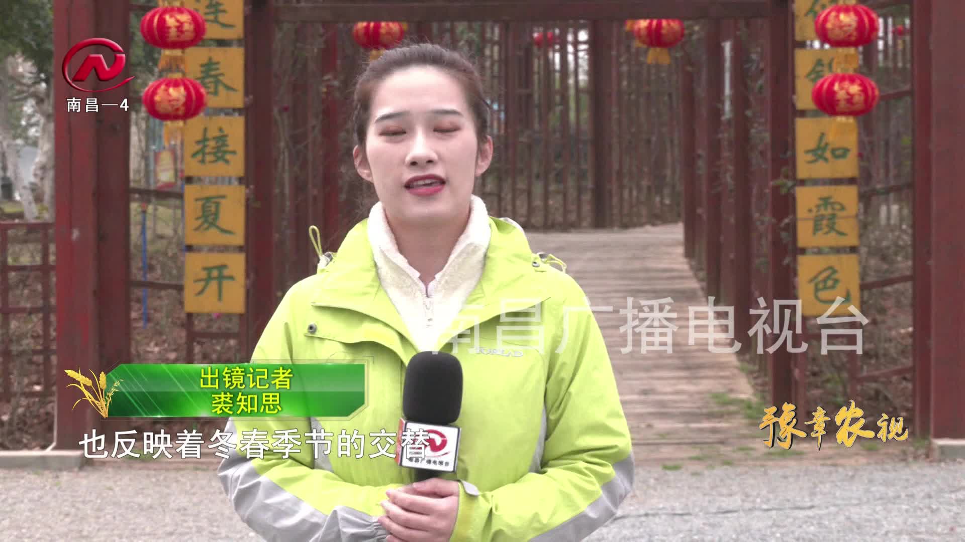 【豫章农视】 立春：春回大地 万象更新