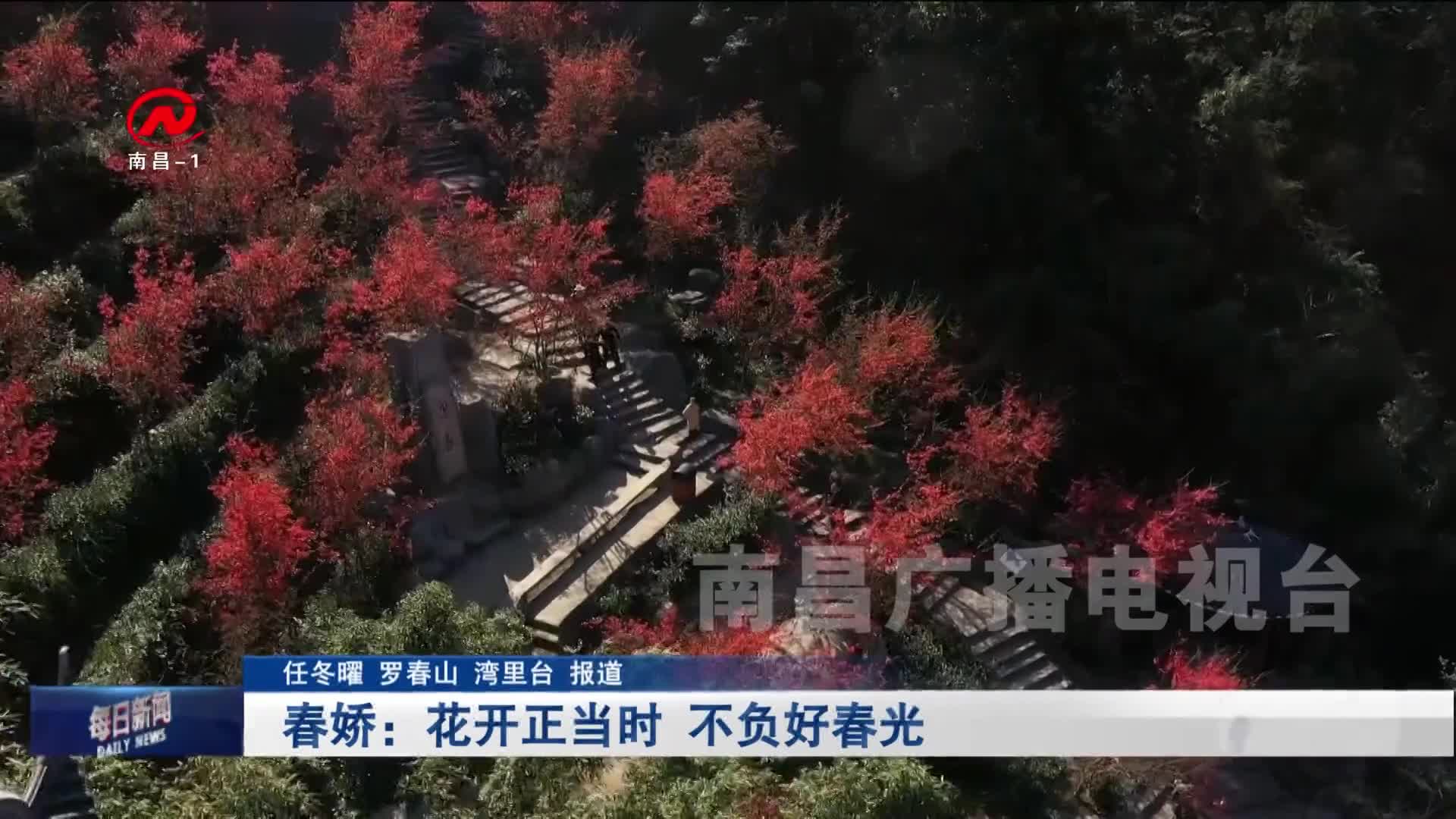 春娇：花开正当时 不负好春光