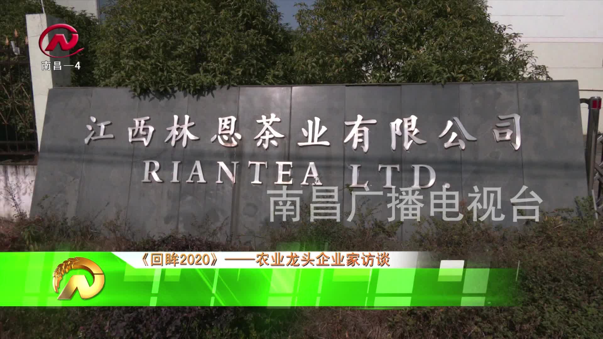 【豫章农视】陈斌：以茶为媒   打造茶文化产业链