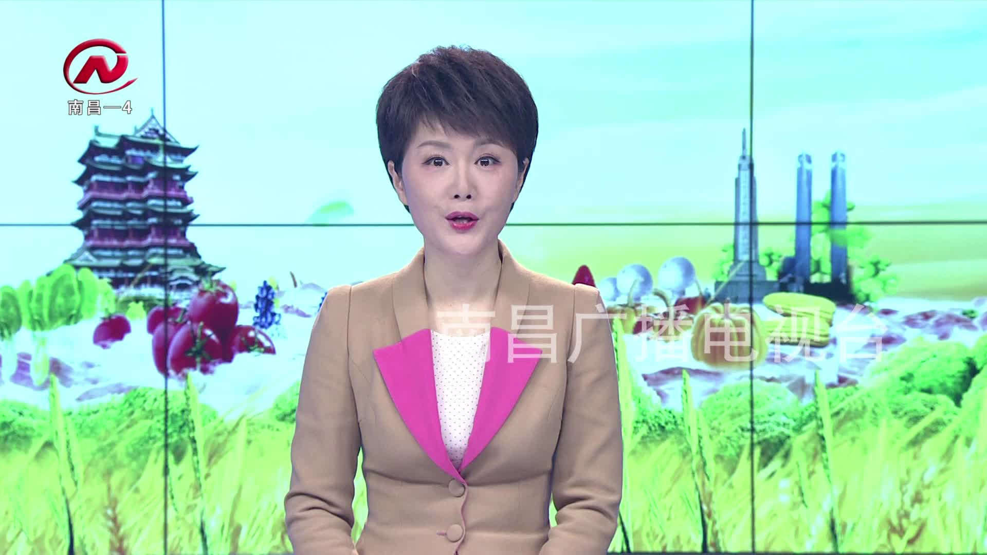 【豫章农视】世界湿地日：共同守护“地球之肺”