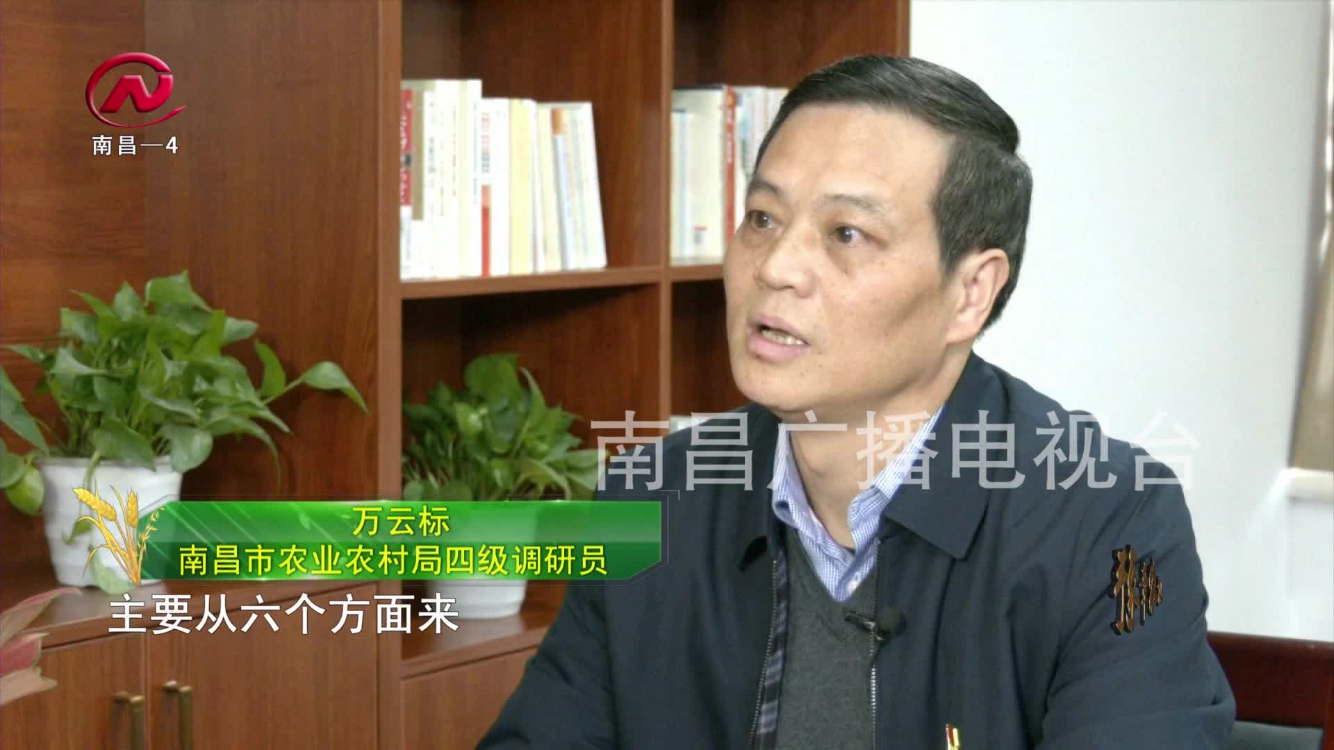 【豫章农视】万云标：展现“三农”作为 书写乡村振兴新篇章（上）