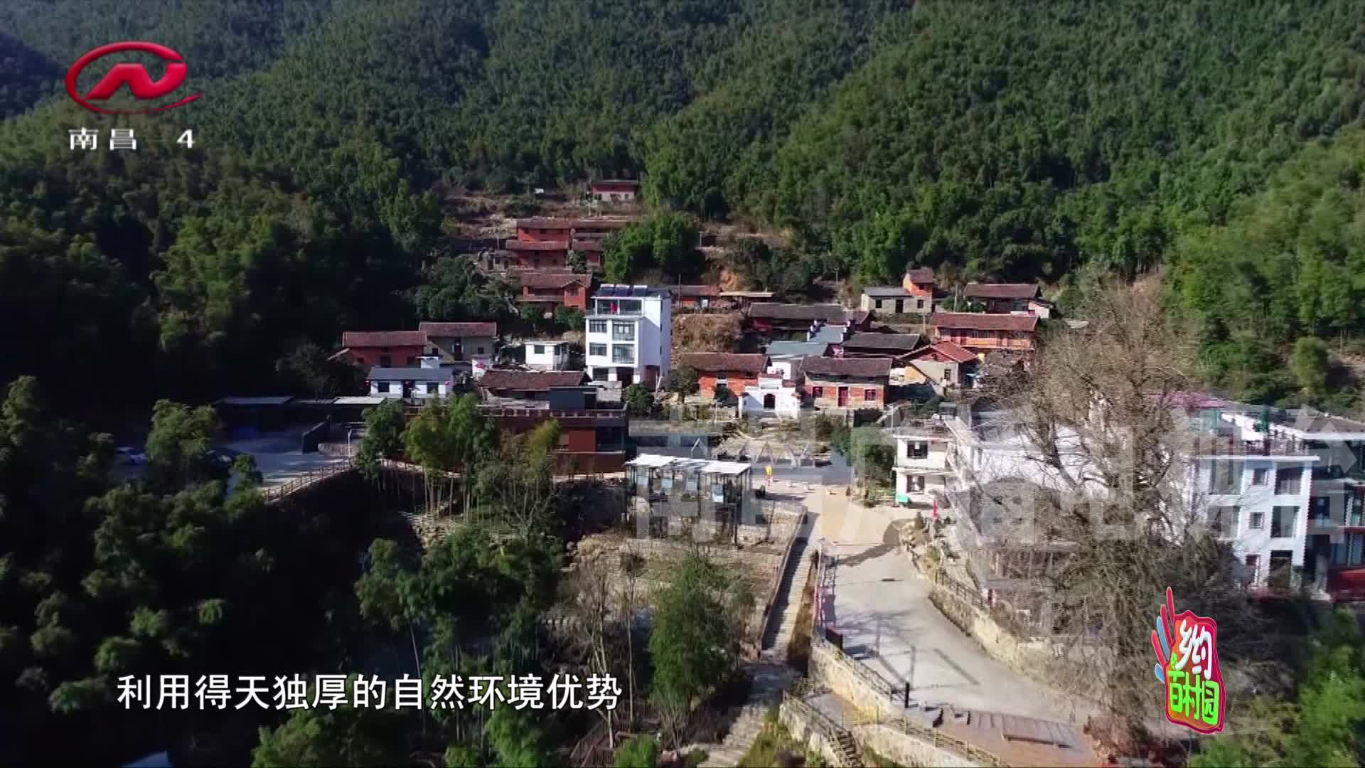 乡约百村园 2021-03-01