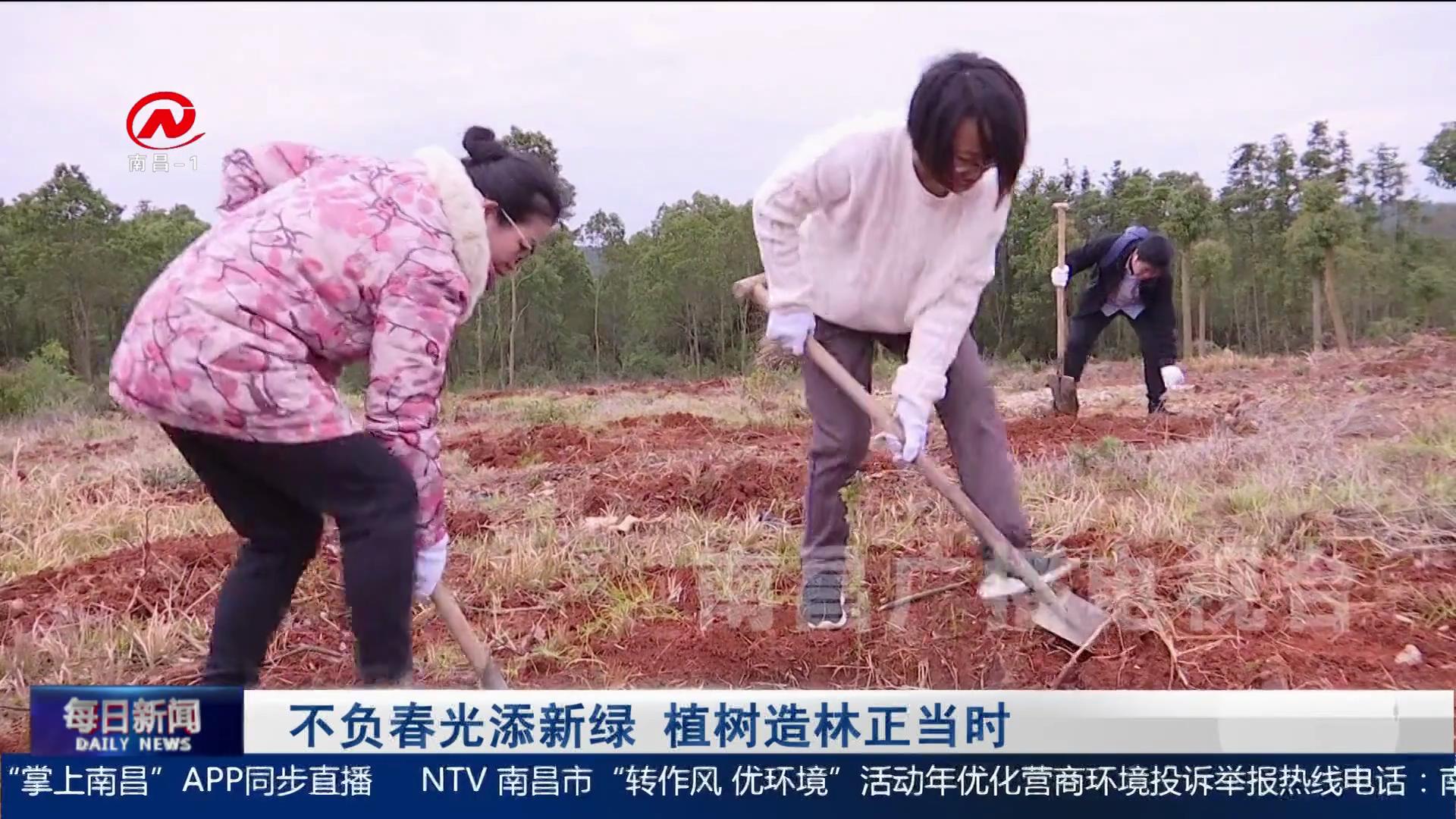 【深化文明创建】不负春光添新绿 植树造林正当时