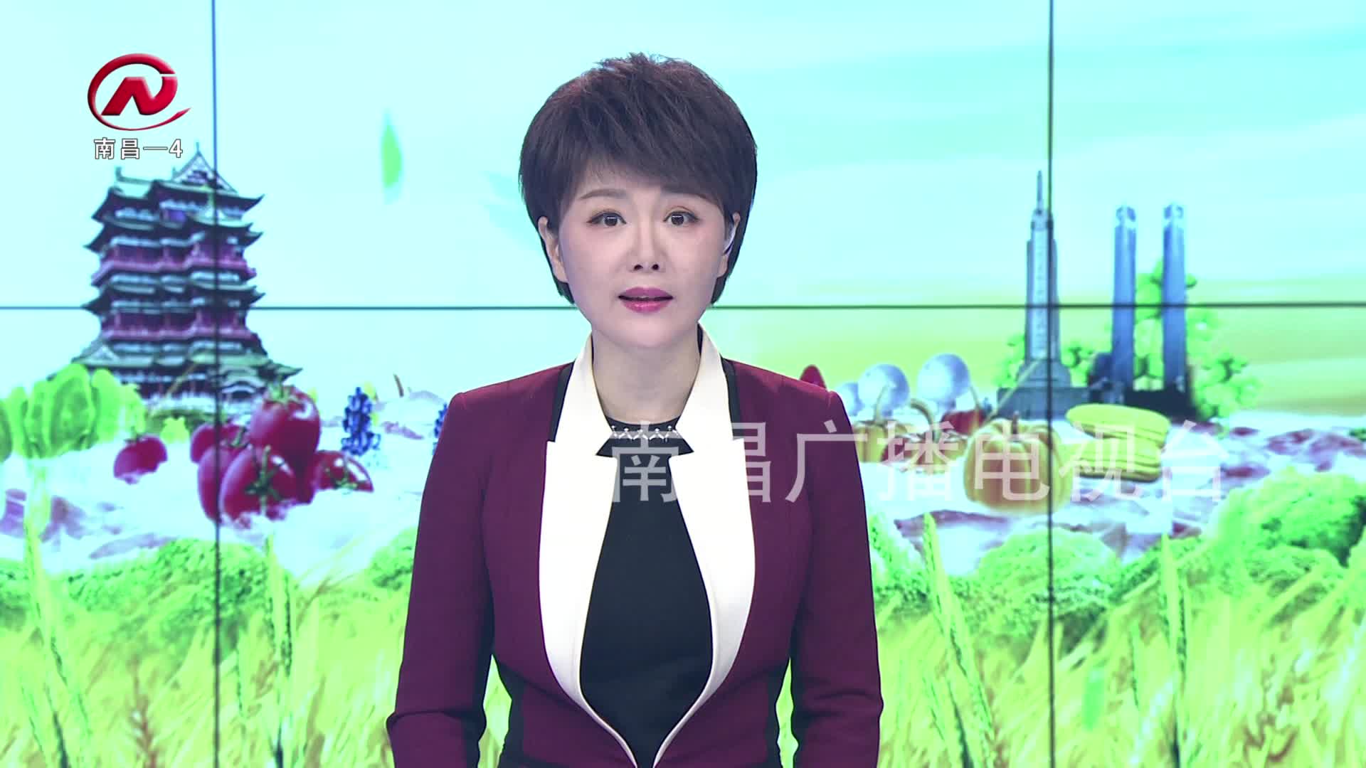 【豫章农视】新建区：鹭鸟“先头部队”抵达象山森林公园