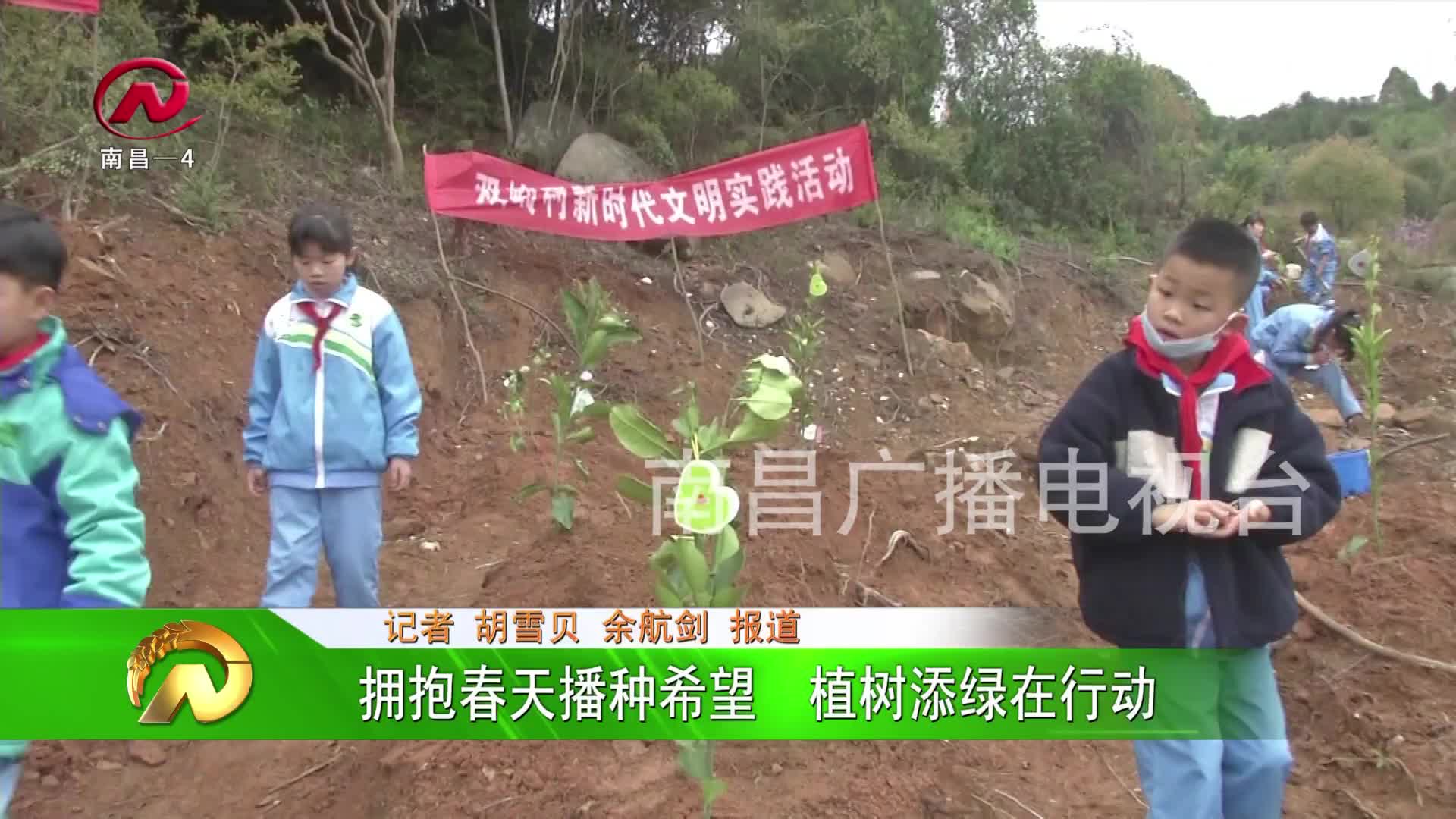 【豫章农视】拥抱春天播种希望  植树添绿在行动
