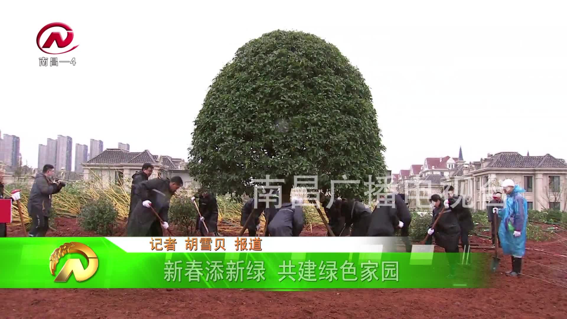 【豫章农视】新春添新绿 共建绿色家园