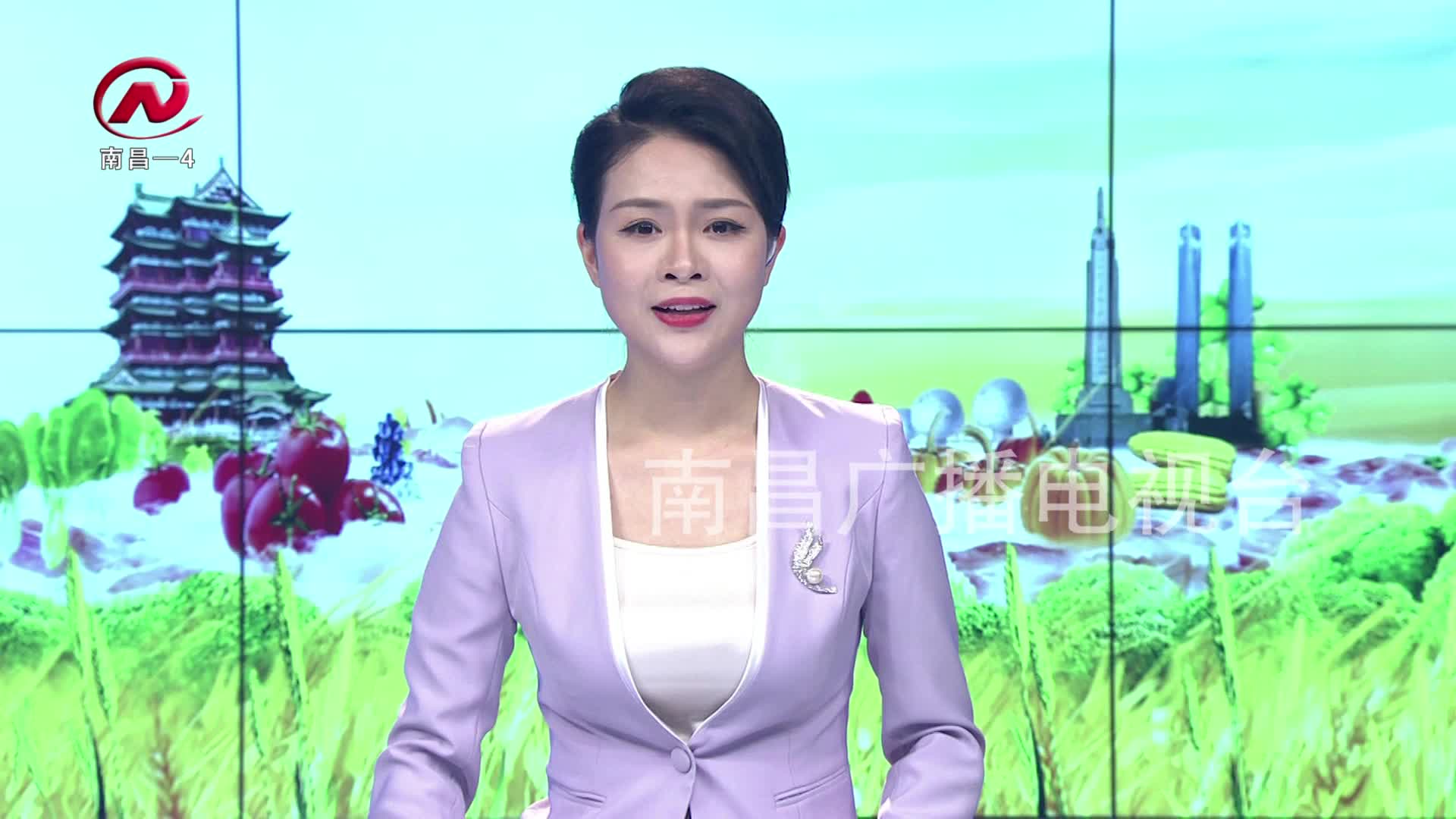 【豫章农视】政协委员报道日——感受新变化 聚焦民生热点