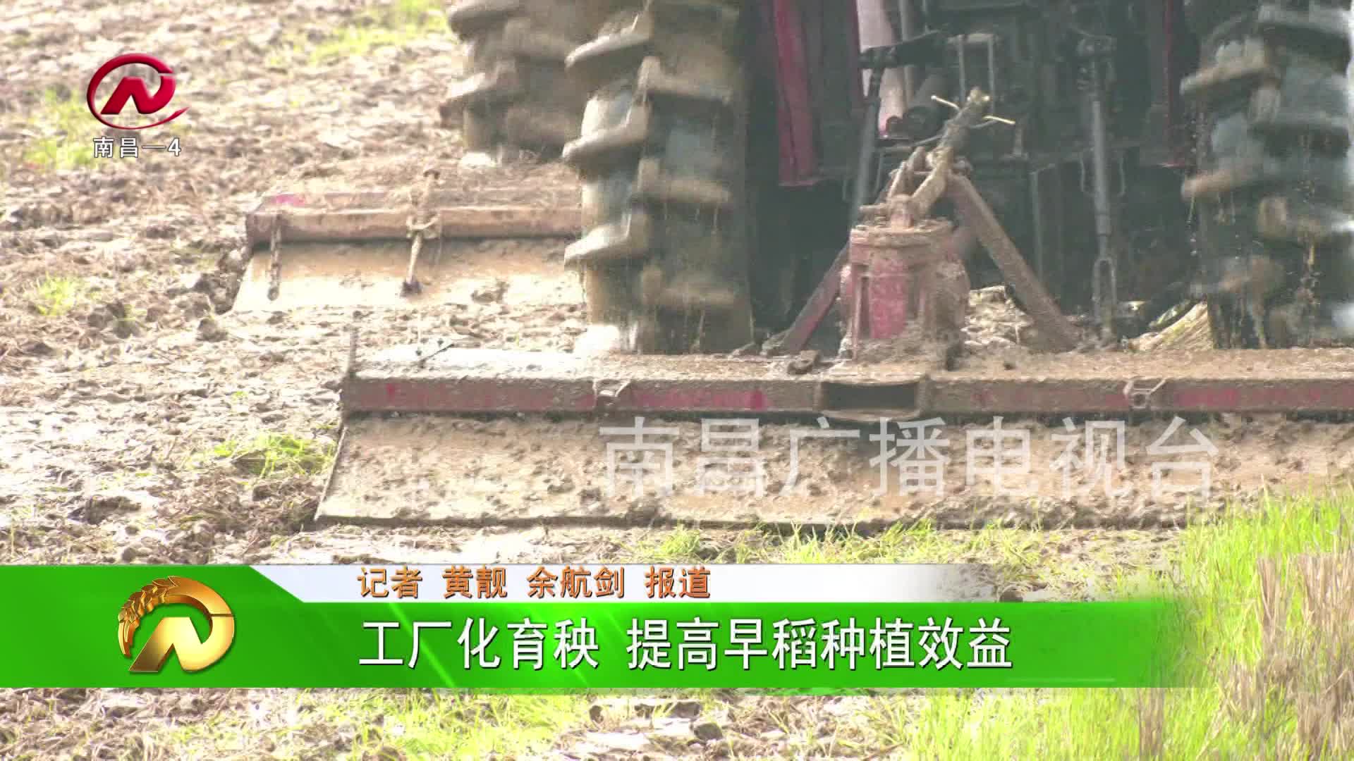 【豫章农视】工厂化育秧 提高早稻种植效益
