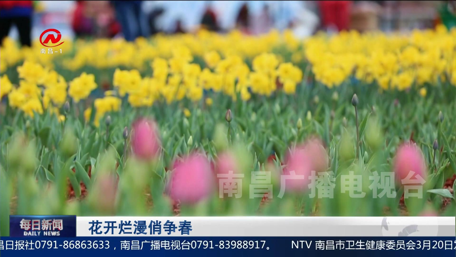 花开烂漫俏争春