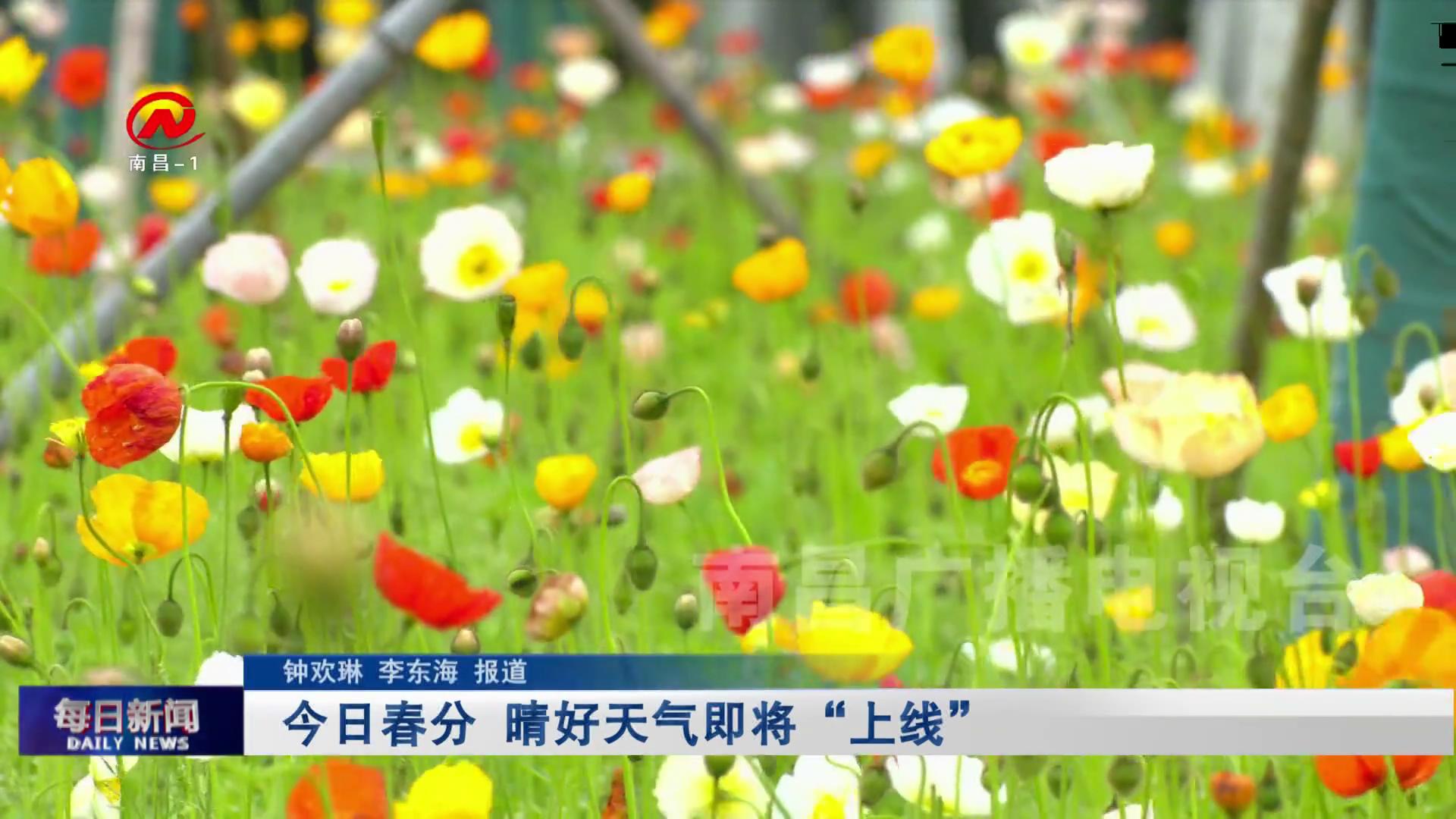 今日春分 晴好天气即将“上线”