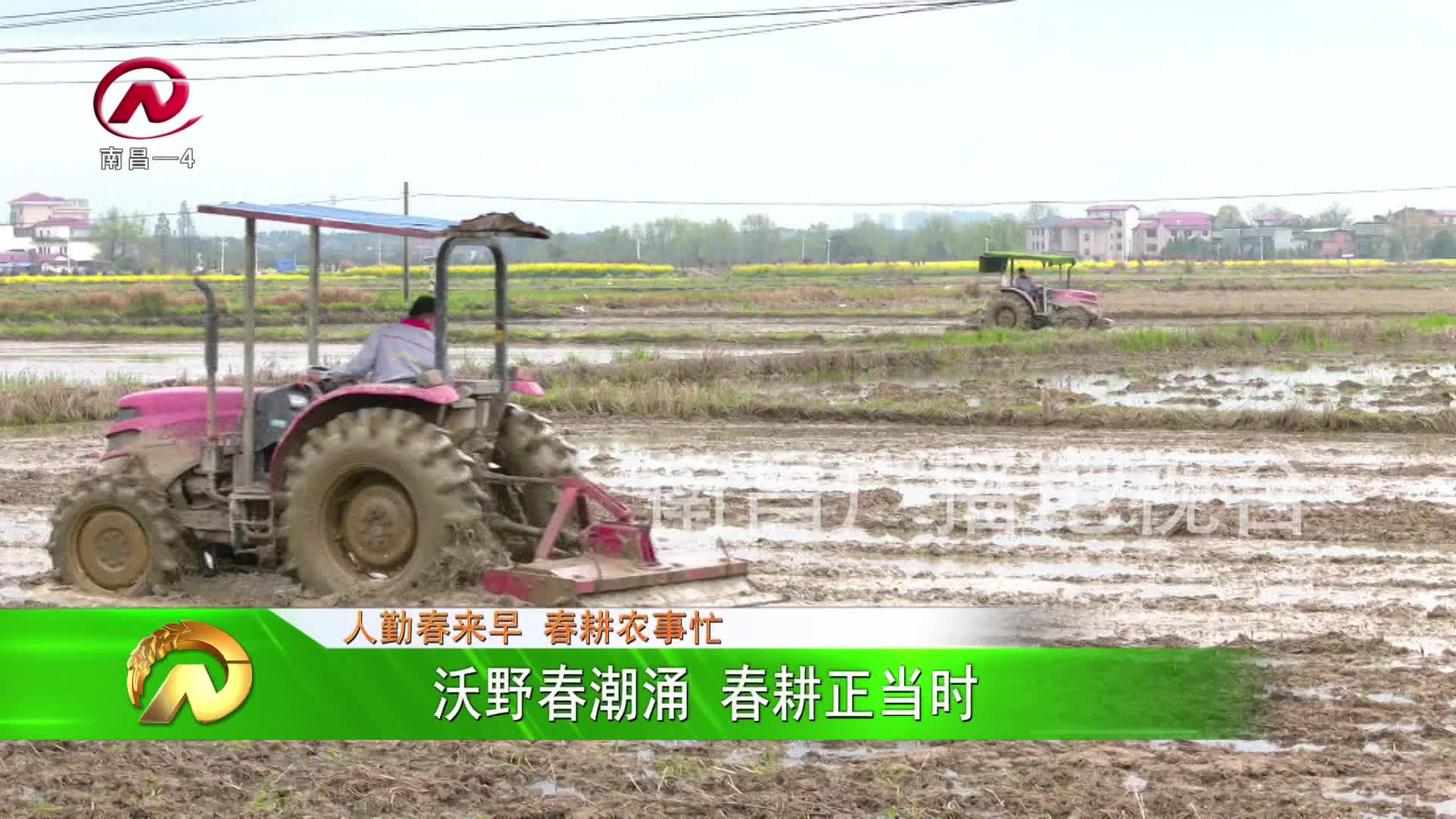 【豫章农视】沃野春潮涌 春耕正当时