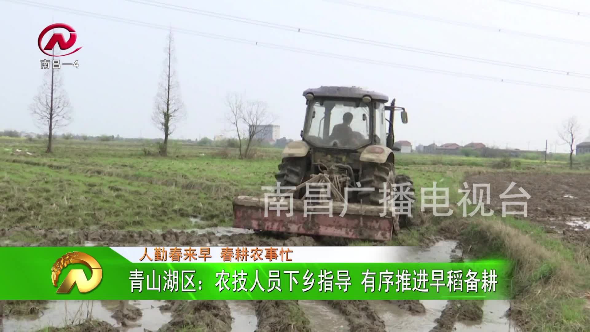 【豫章农视】青山湖区：农技人员下乡指导 有序推进早稻备耕