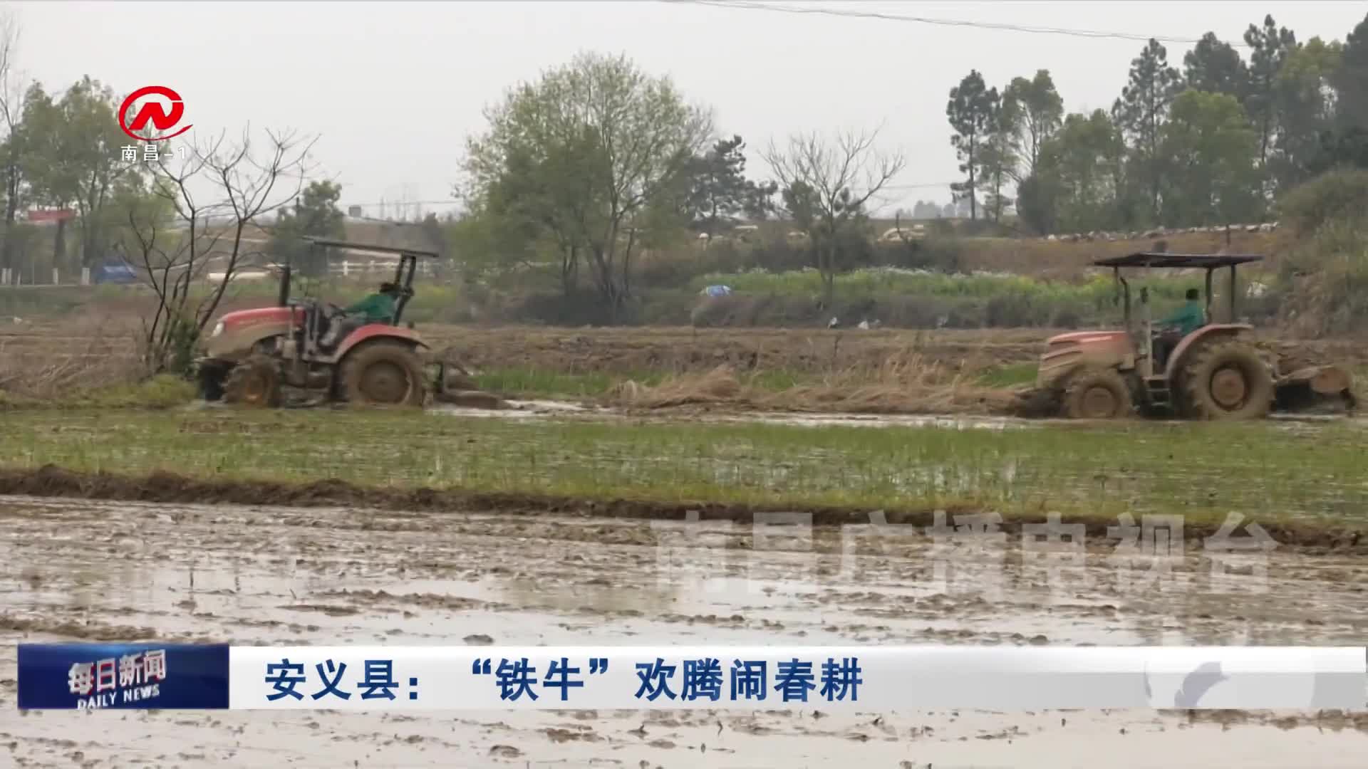 安义县：“铁牛”欢腾闹春耕