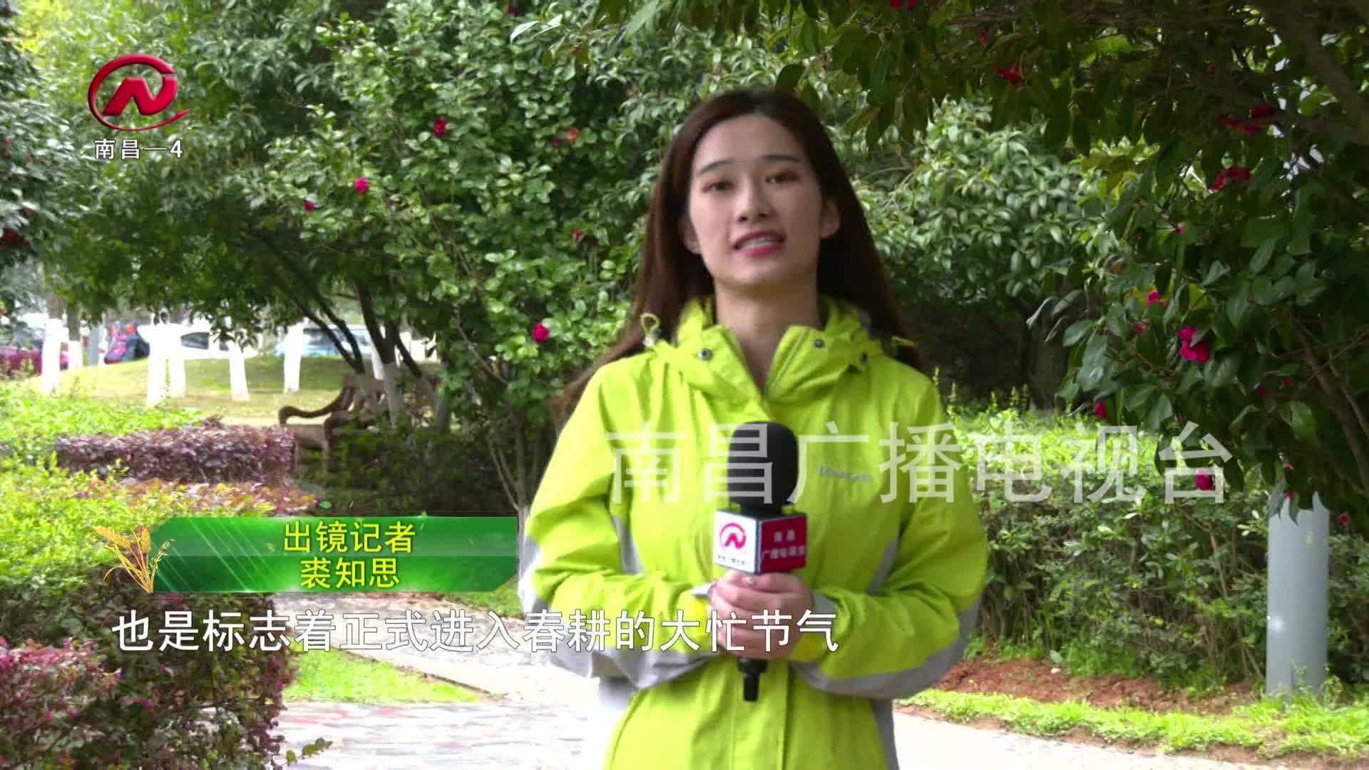 【豫章农视】惊蛰到 万物长