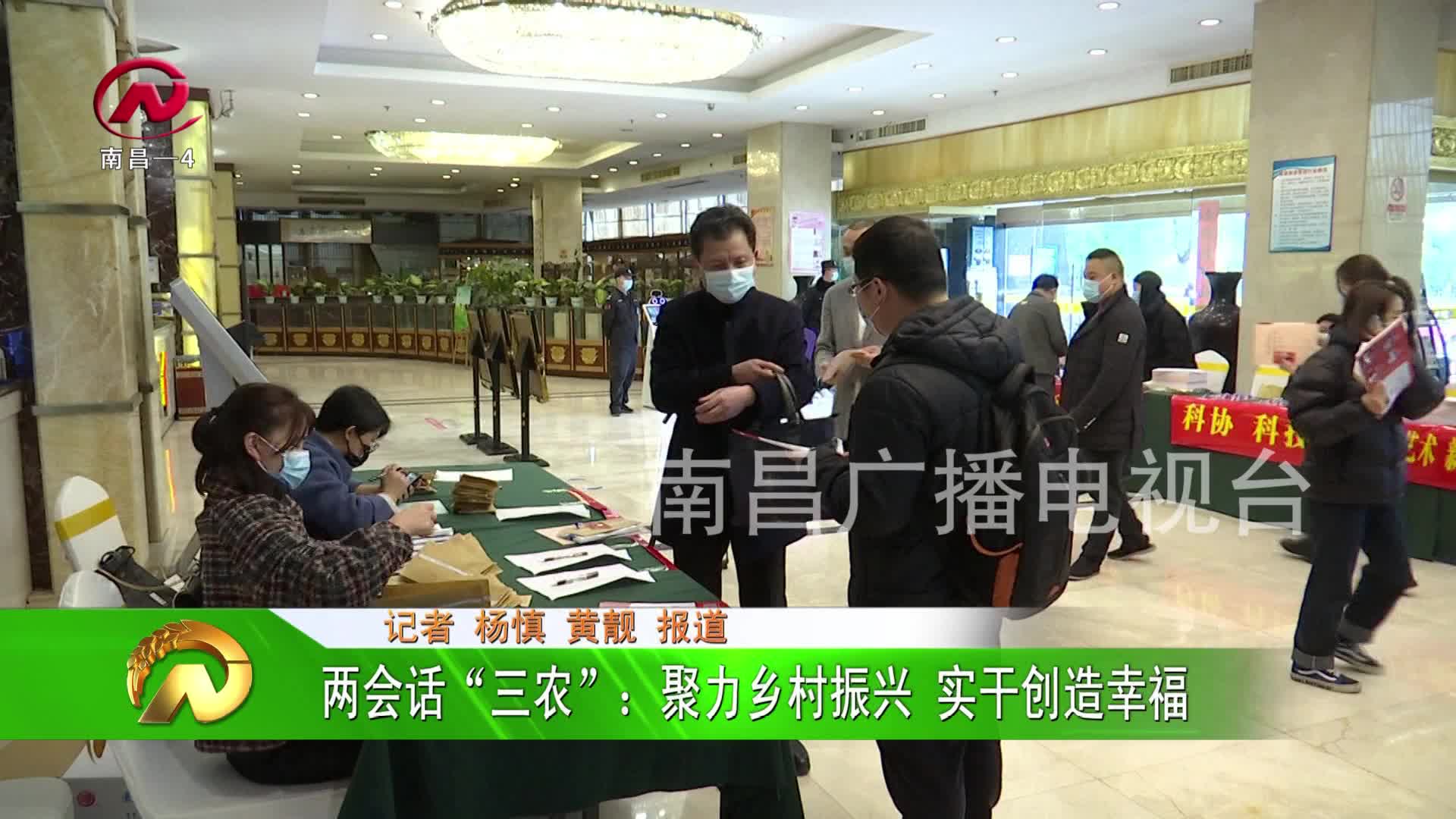 【豫章农视】两会话“三农”：聚力乡村振兴 实干创造幸福