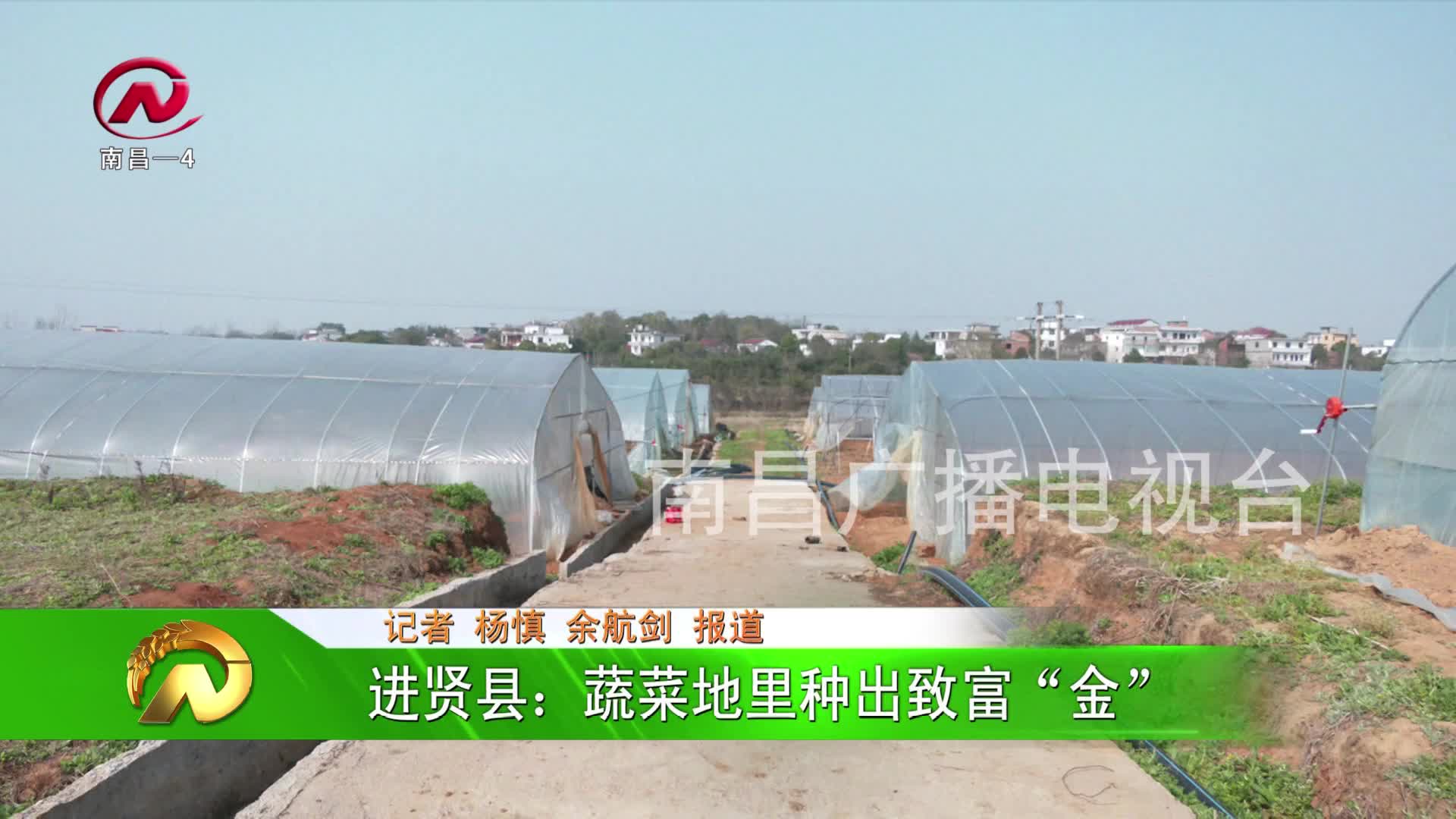 【豫章农视】进贤县：蔬菜地里种出致富“金”