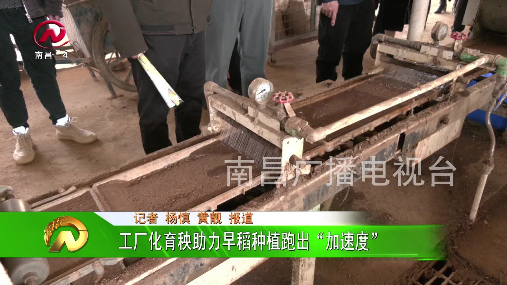 【豫章农视】工厂化育秧助力早稻种植跑出“加速度”